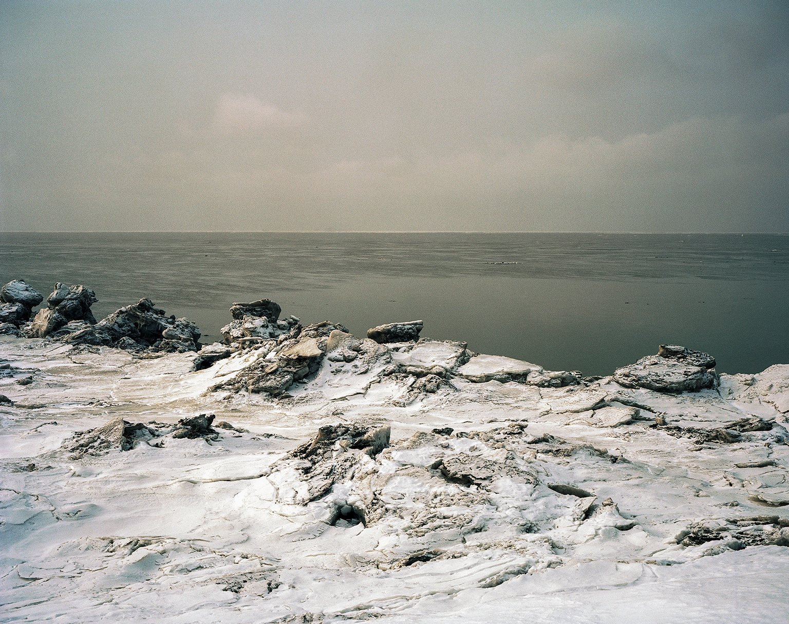 © Marion Gotti