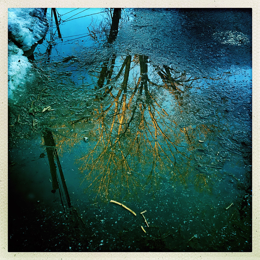 Côté ruelle, 2019 © Marion Gotti