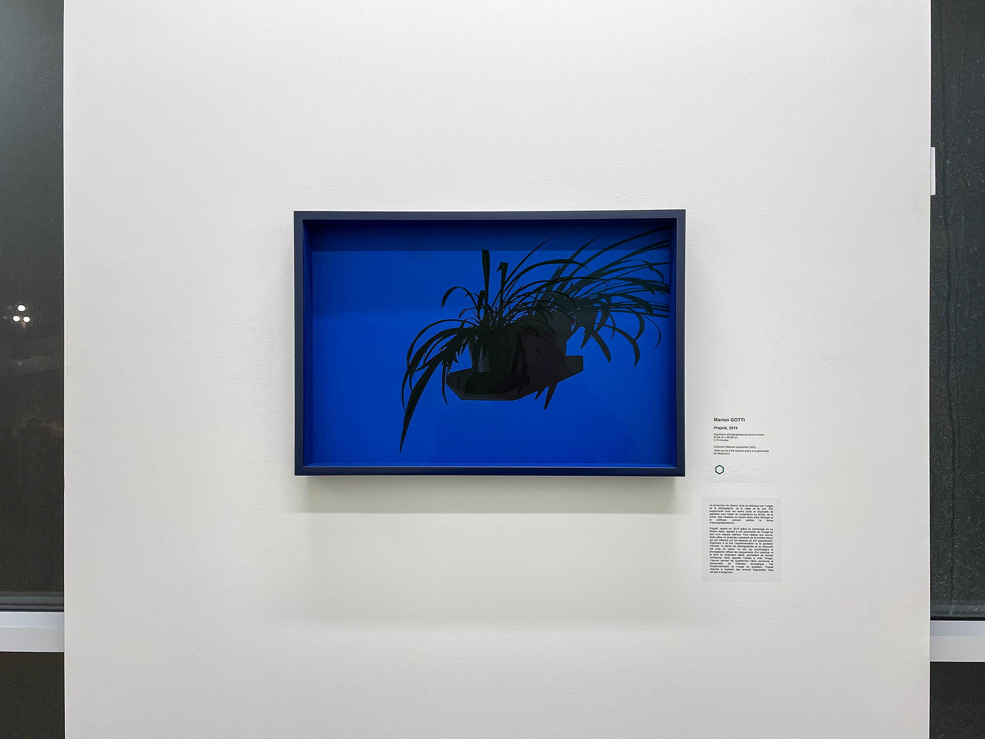 Collection Méduse (2022) © Marion Gotti