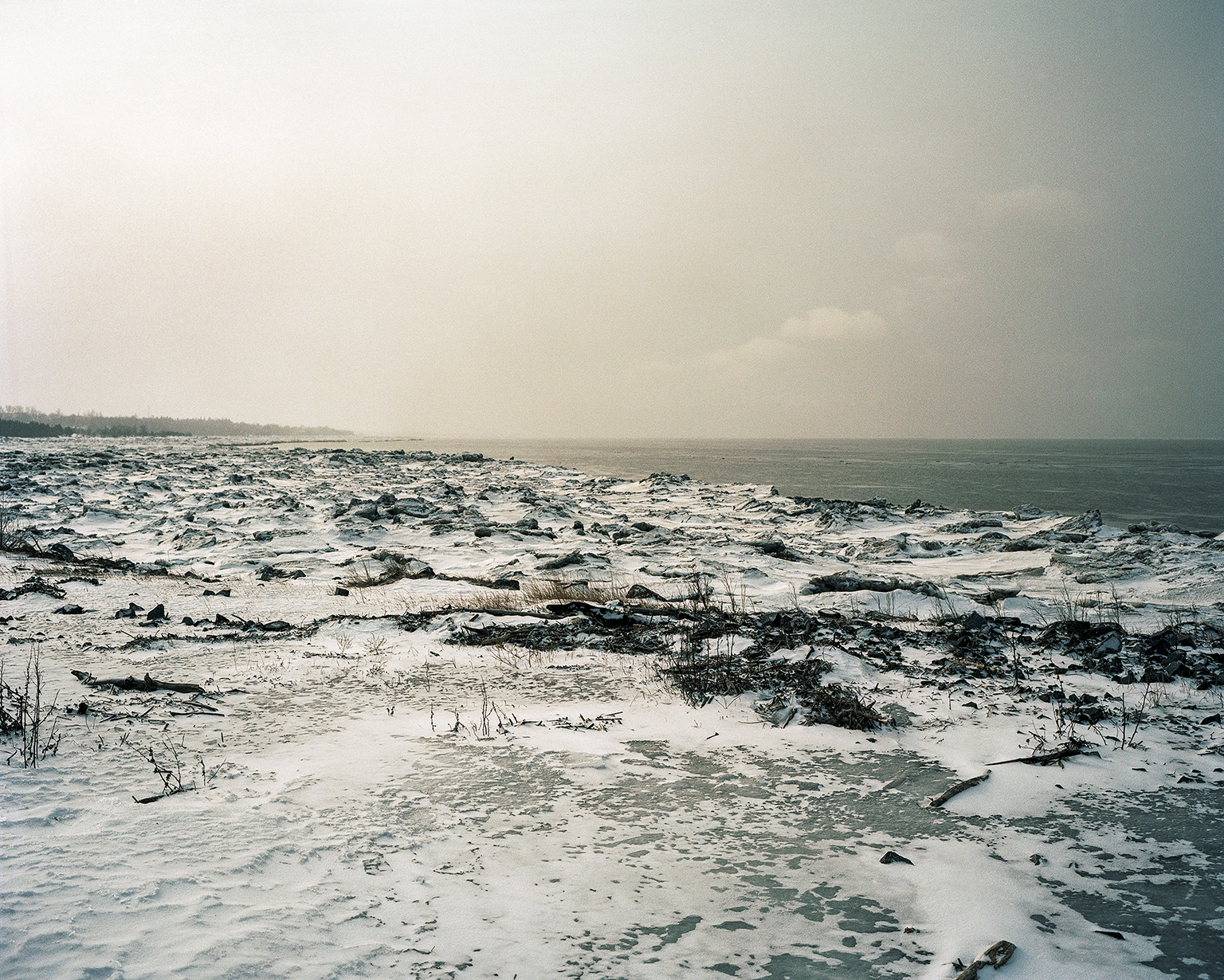 © Marion Gotti