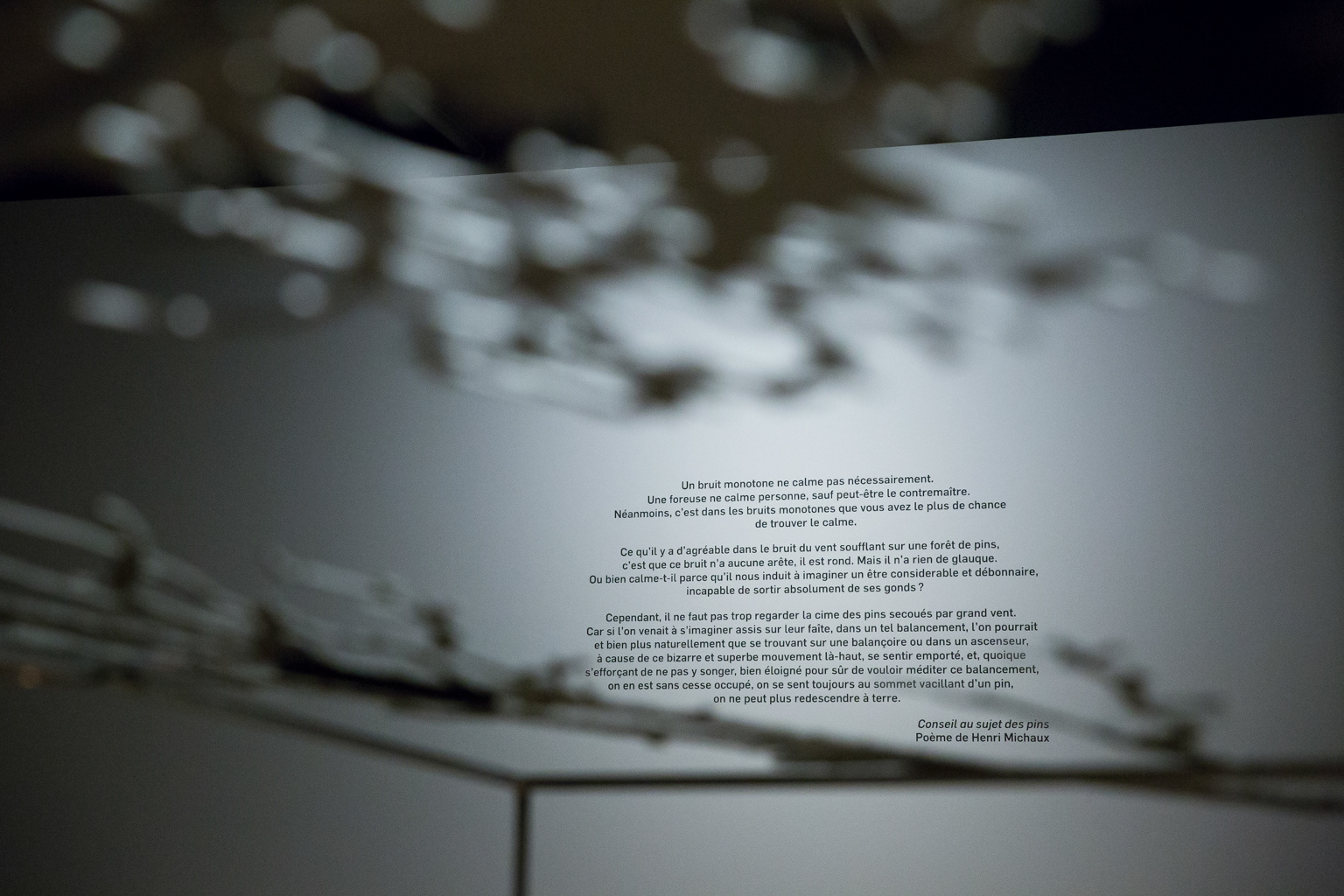 Quand un arbre tombe..., Caroline Gagné, Biennale de Trois-rivières © Marion Gotti