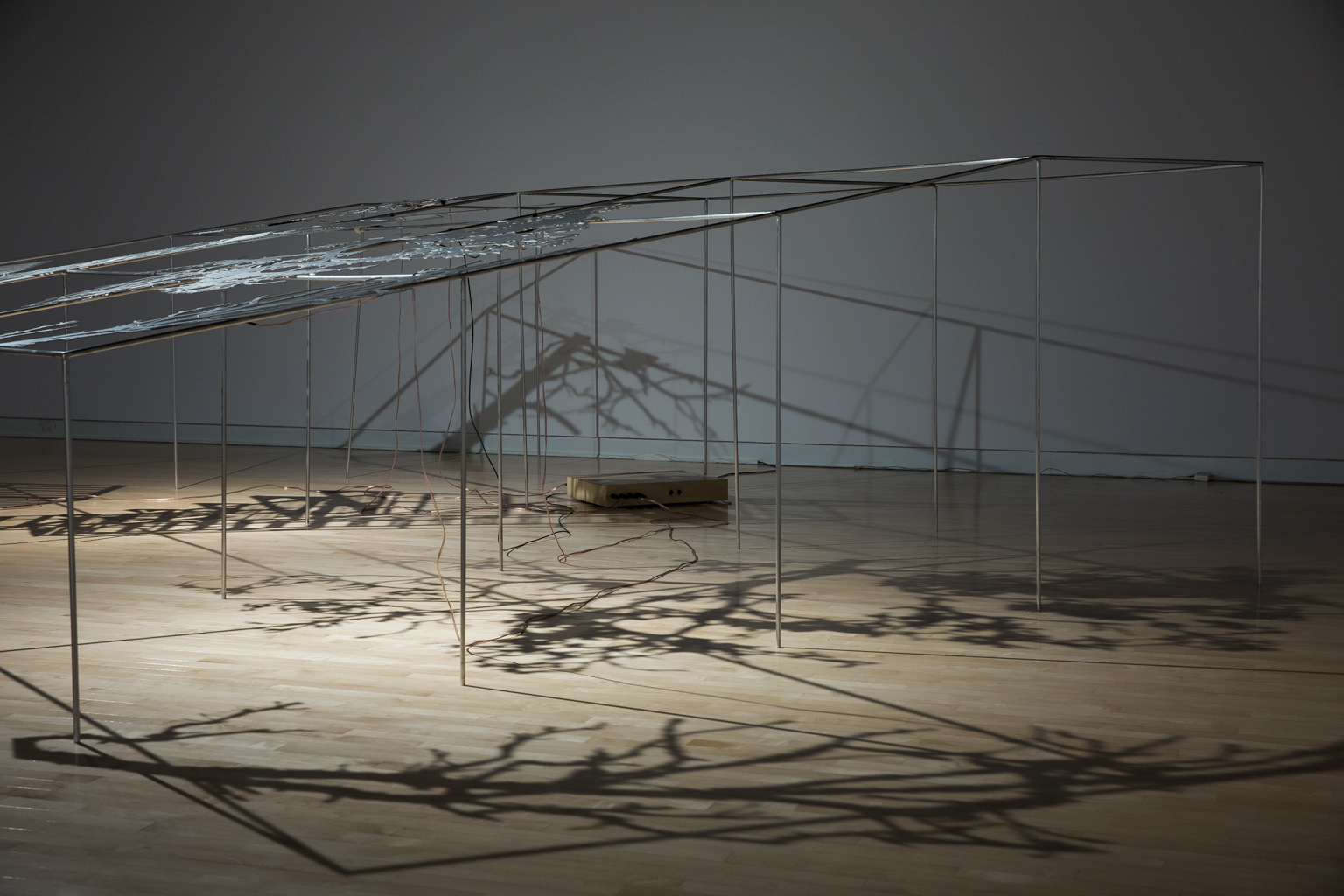 Quand un arbre tombe..., Caroline Gagné, Biennale de Trois-rivières © Marion Gotti