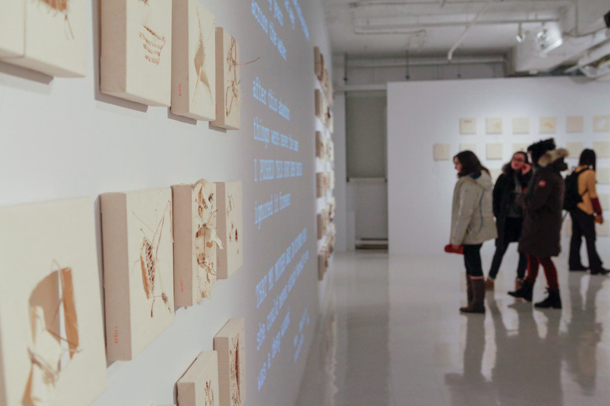 Exposition Frozen Blue, Nadia Myre, Galerie des arts visuels, Université Laval © Marion Gotti