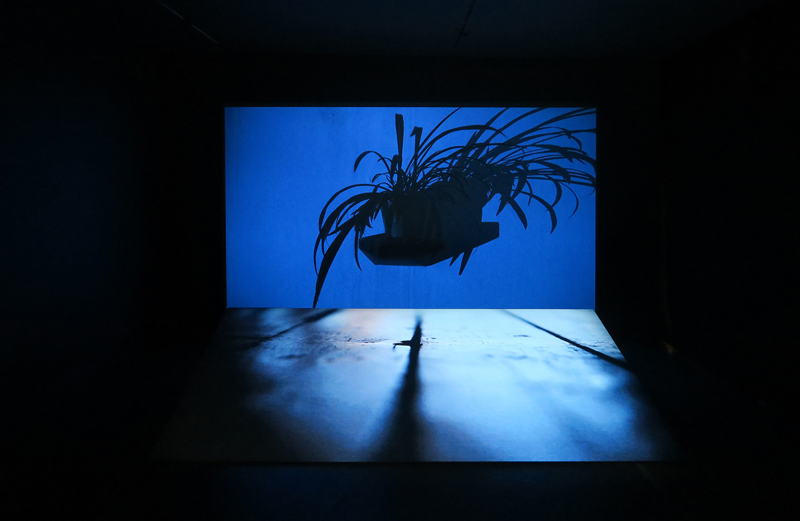 Vue de l'exposition « Projeté », La Bande Vidéo © Marion Gotti