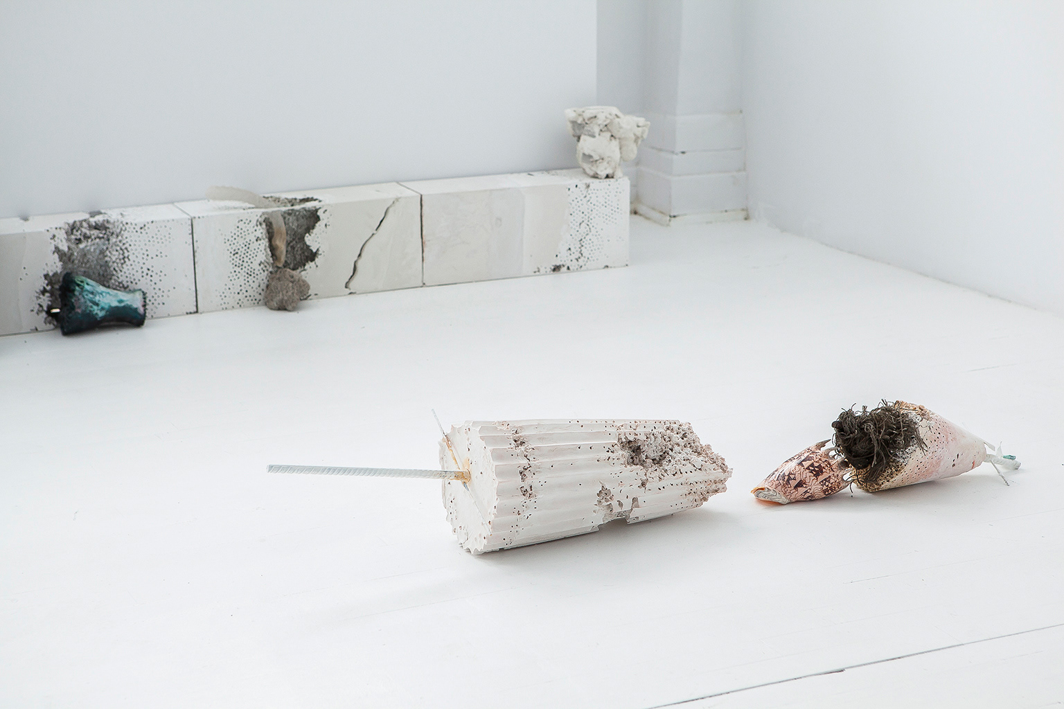 Exposition The Fourth Kingdom, Maude Bernier Chabot, CIRCA © Marion Gotti