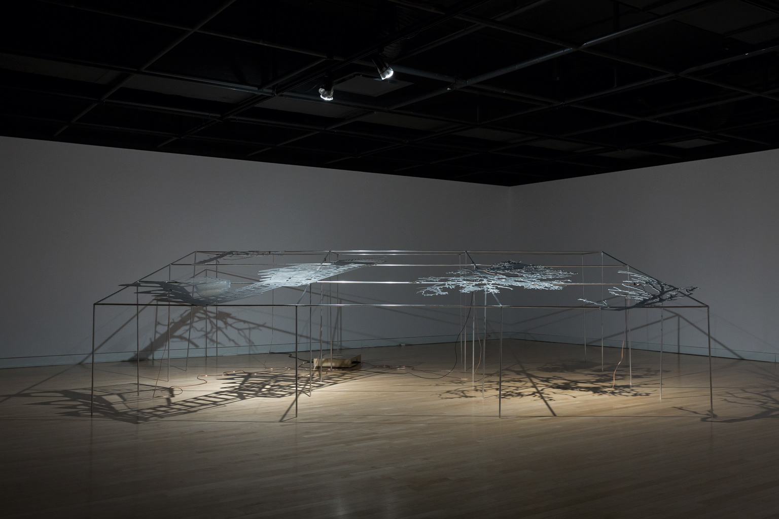 Quand un arbre tombe..., Caroline Gagné, Biennale de Trois-rivières © Marion Gotti