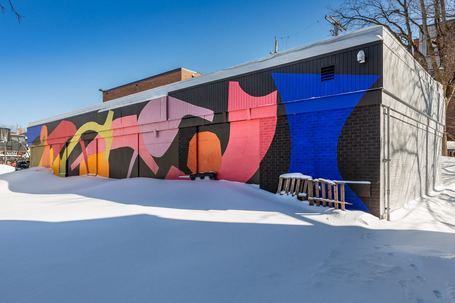 Murale rue Cartier-Bld René-Lévesque, Ilana Pichon © Marion Gotti