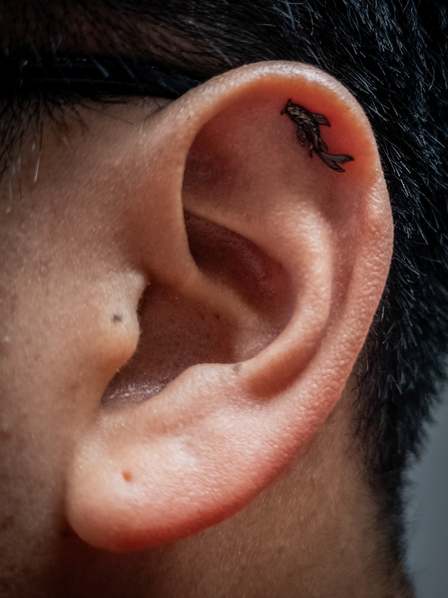 Rhodium Koi Fish