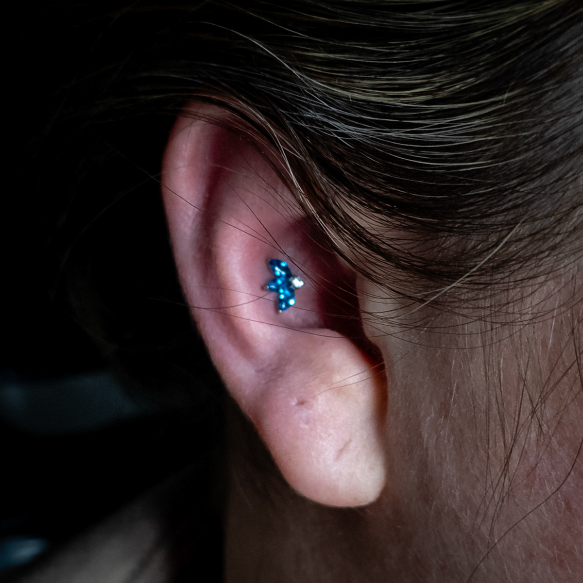 Conch w/blue fan by Shania