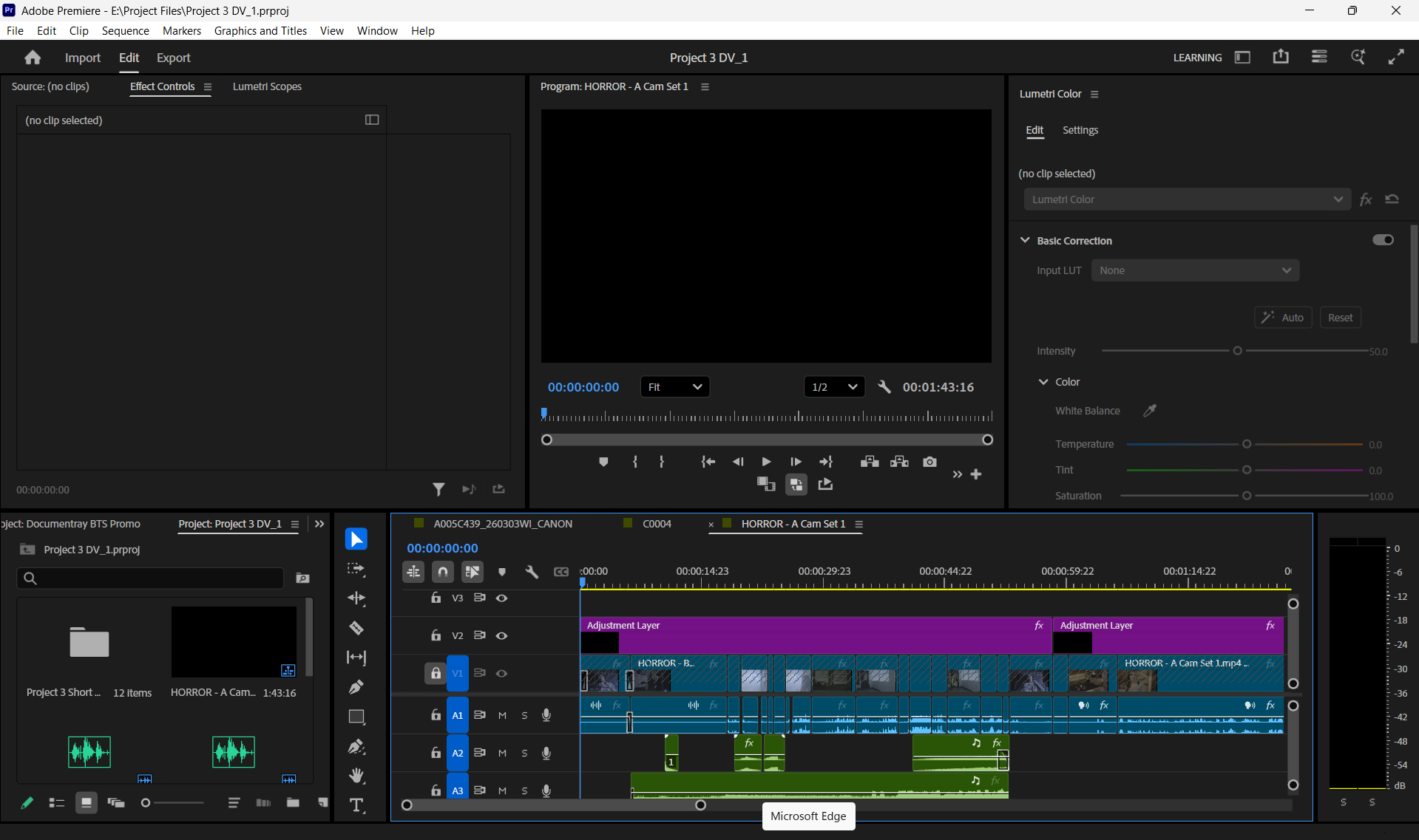 Project Timeline