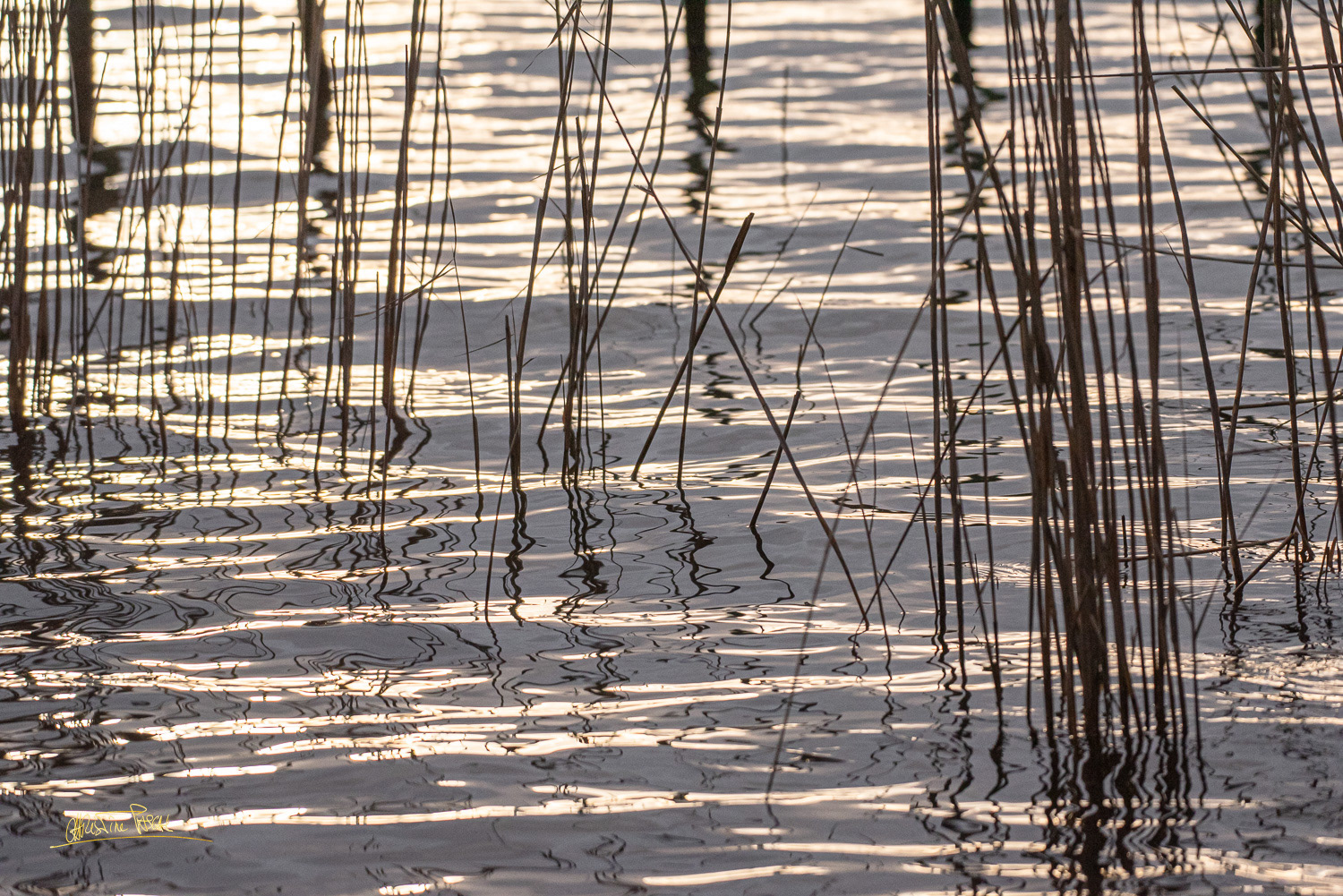 Aiguebelette