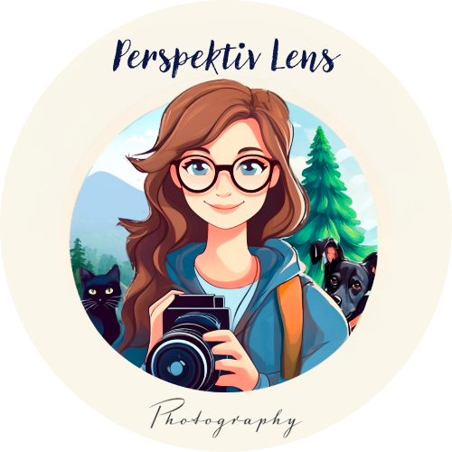 Perspektiv Lens Photography