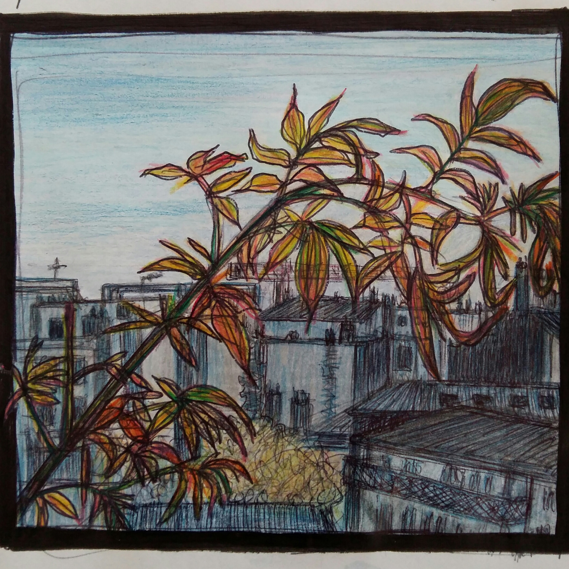 Novembre 2019