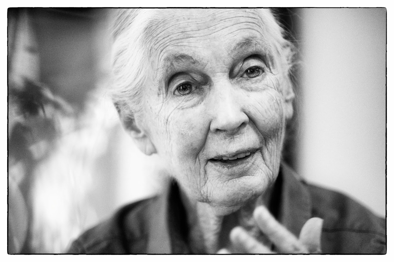 Jane Goodall