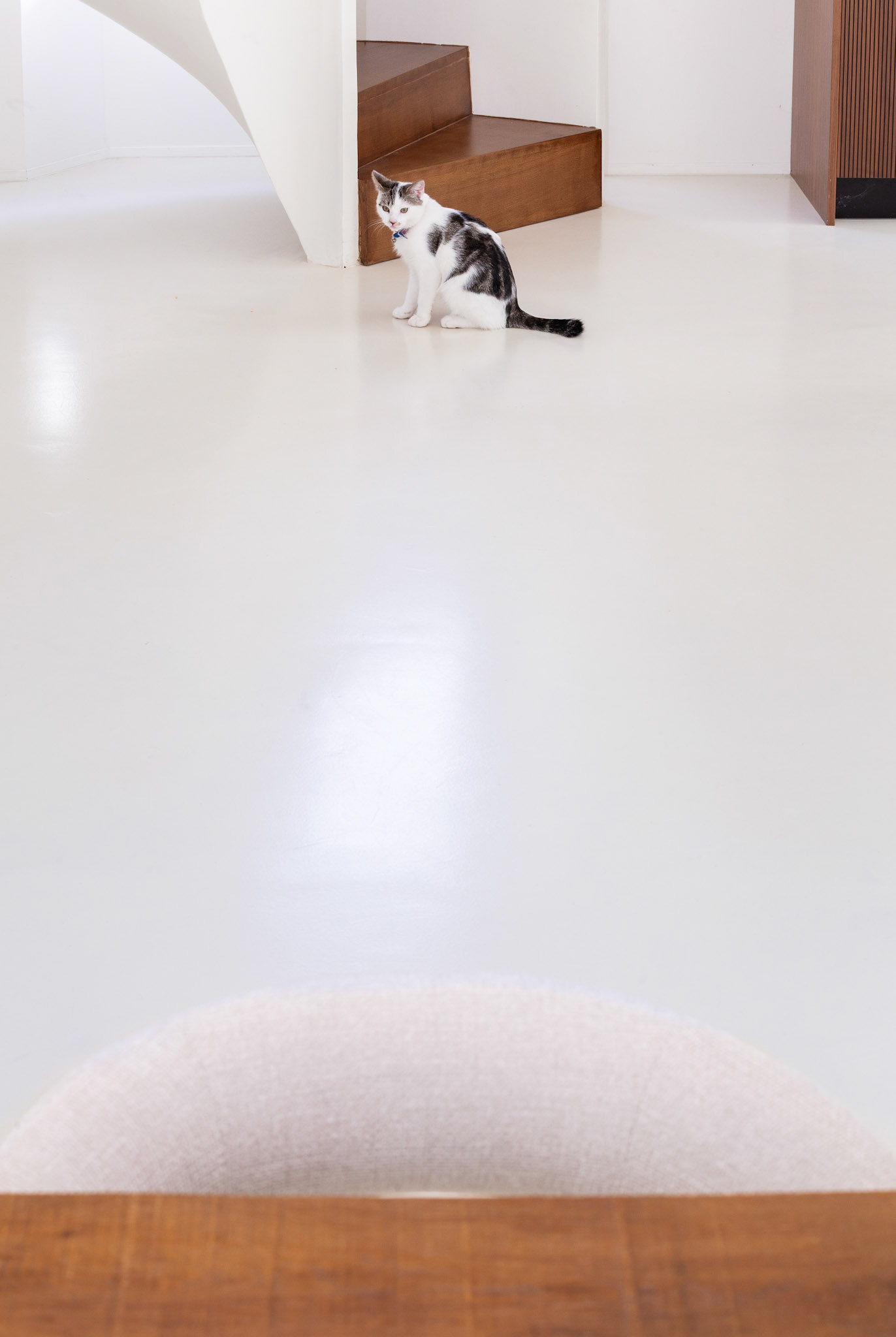 Décoration béton ciré Guillaume Roullat EGR deco photo siraudeau