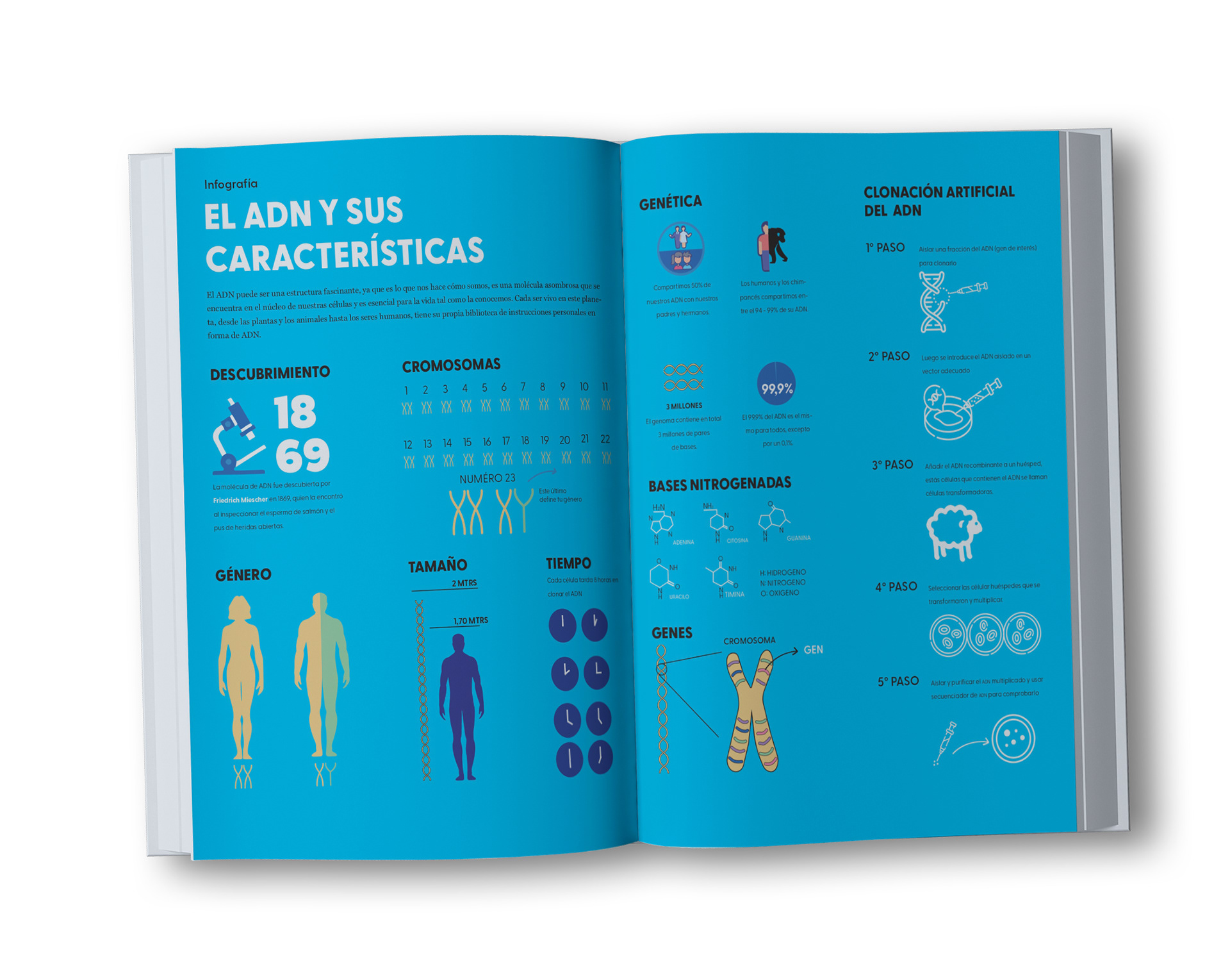 Data infográfica