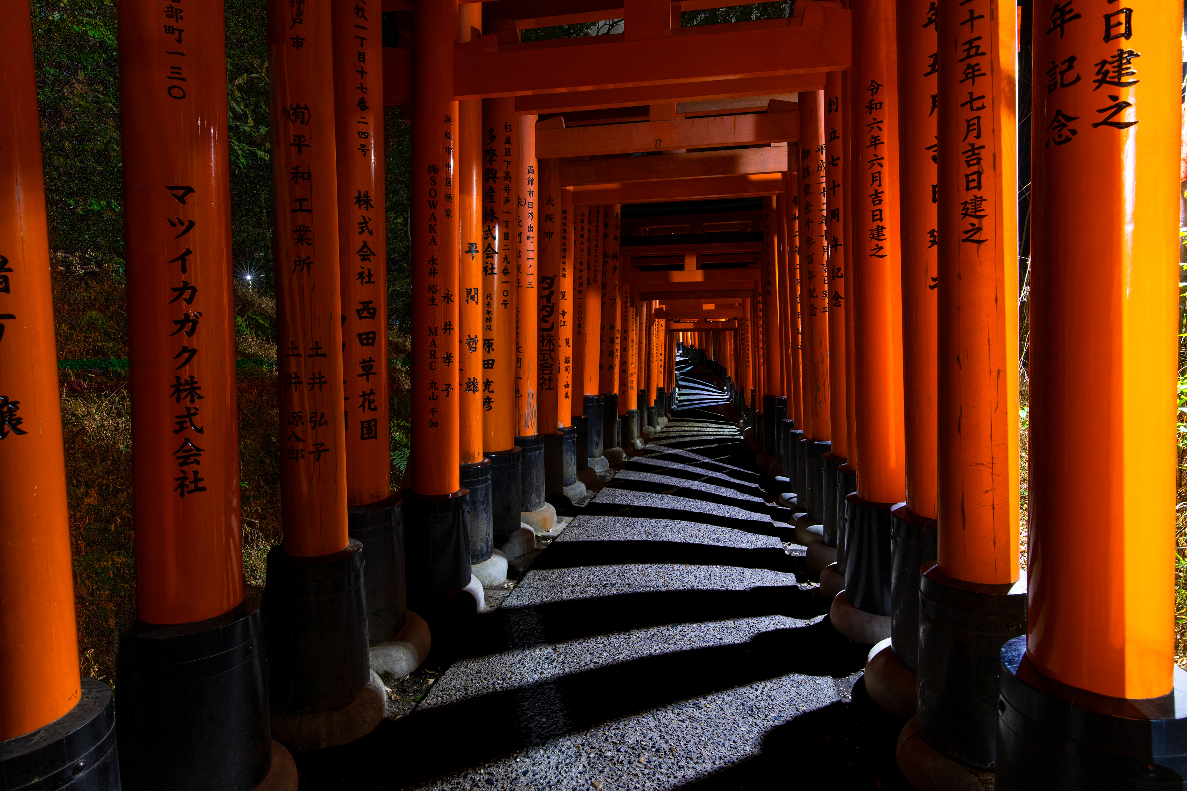 JAPONIA