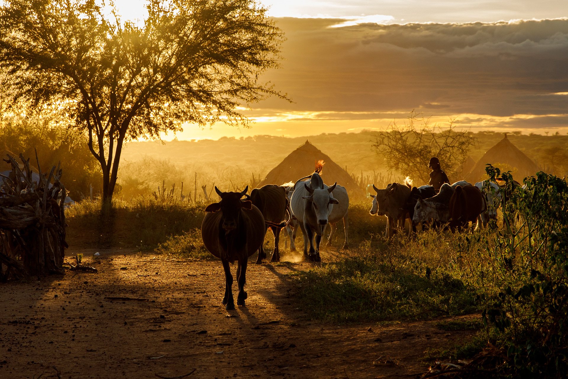 ETIOPIA