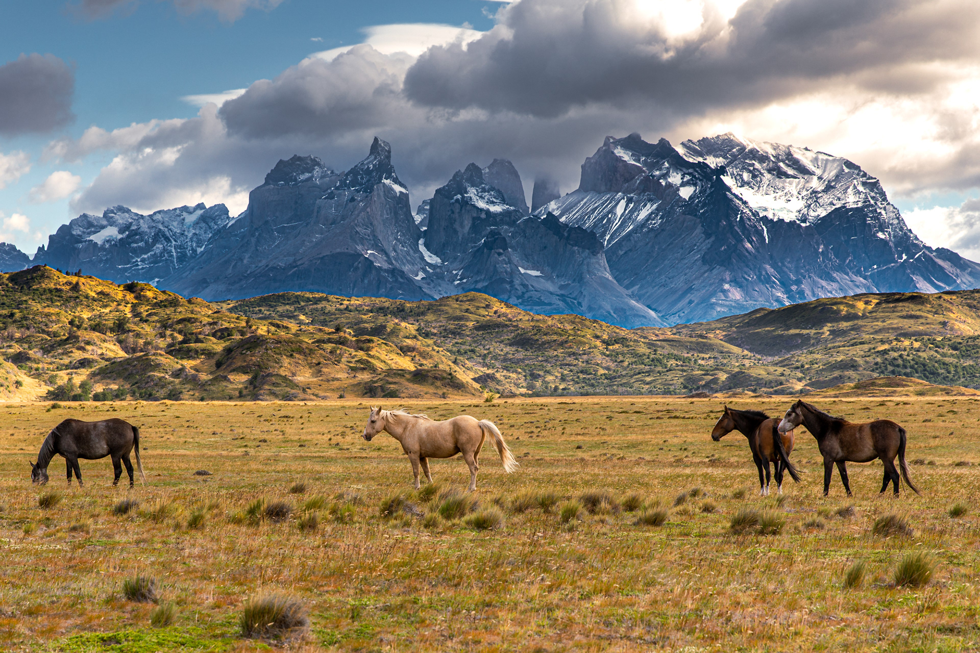 CHILE - PATAGONIA
