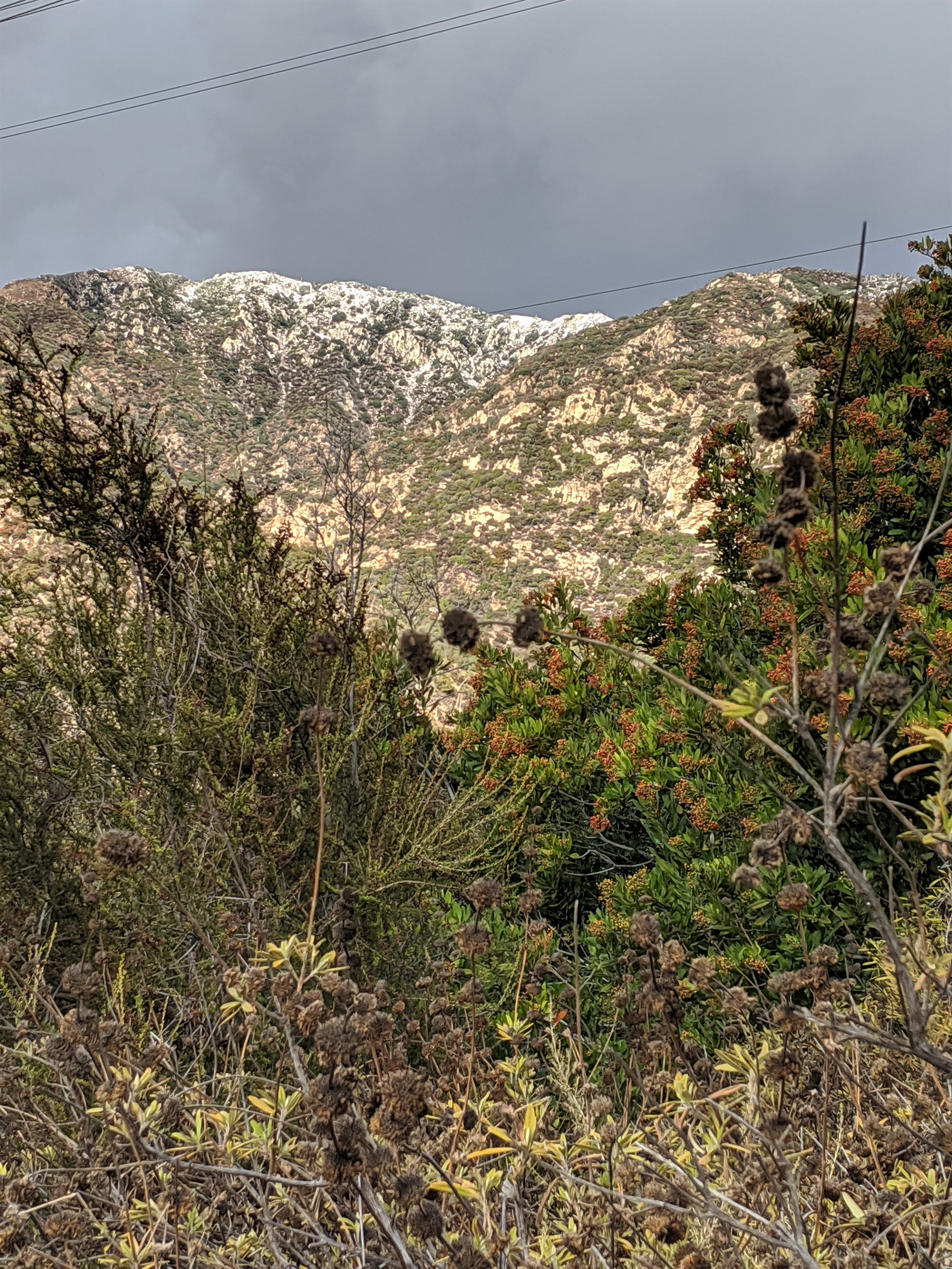 Winter Dusting