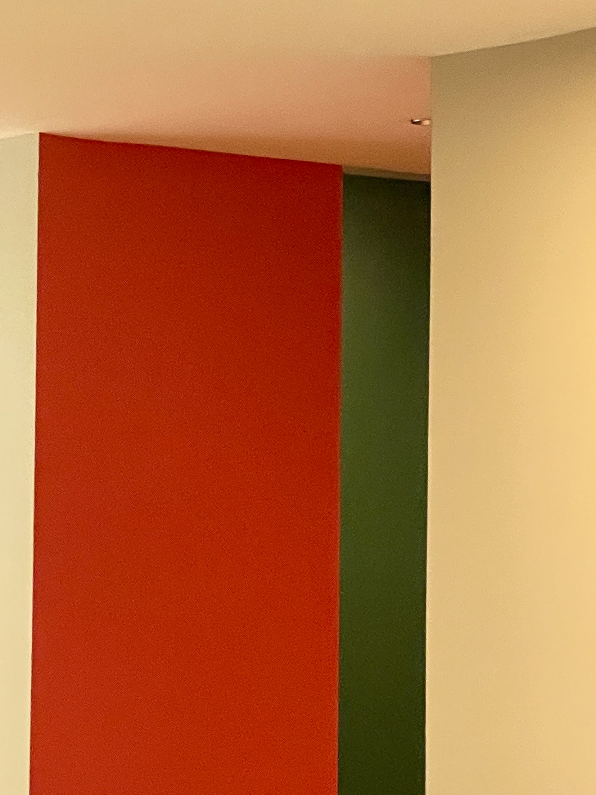 A Splash of Color