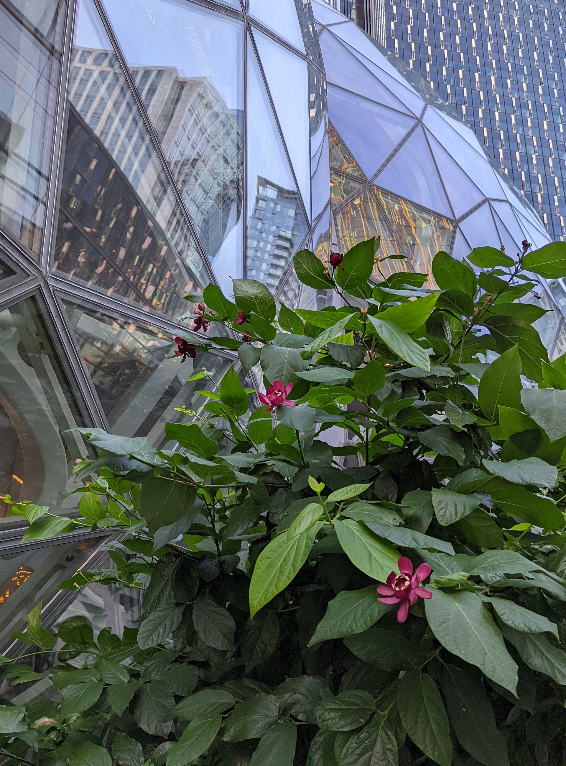 Dome Facets