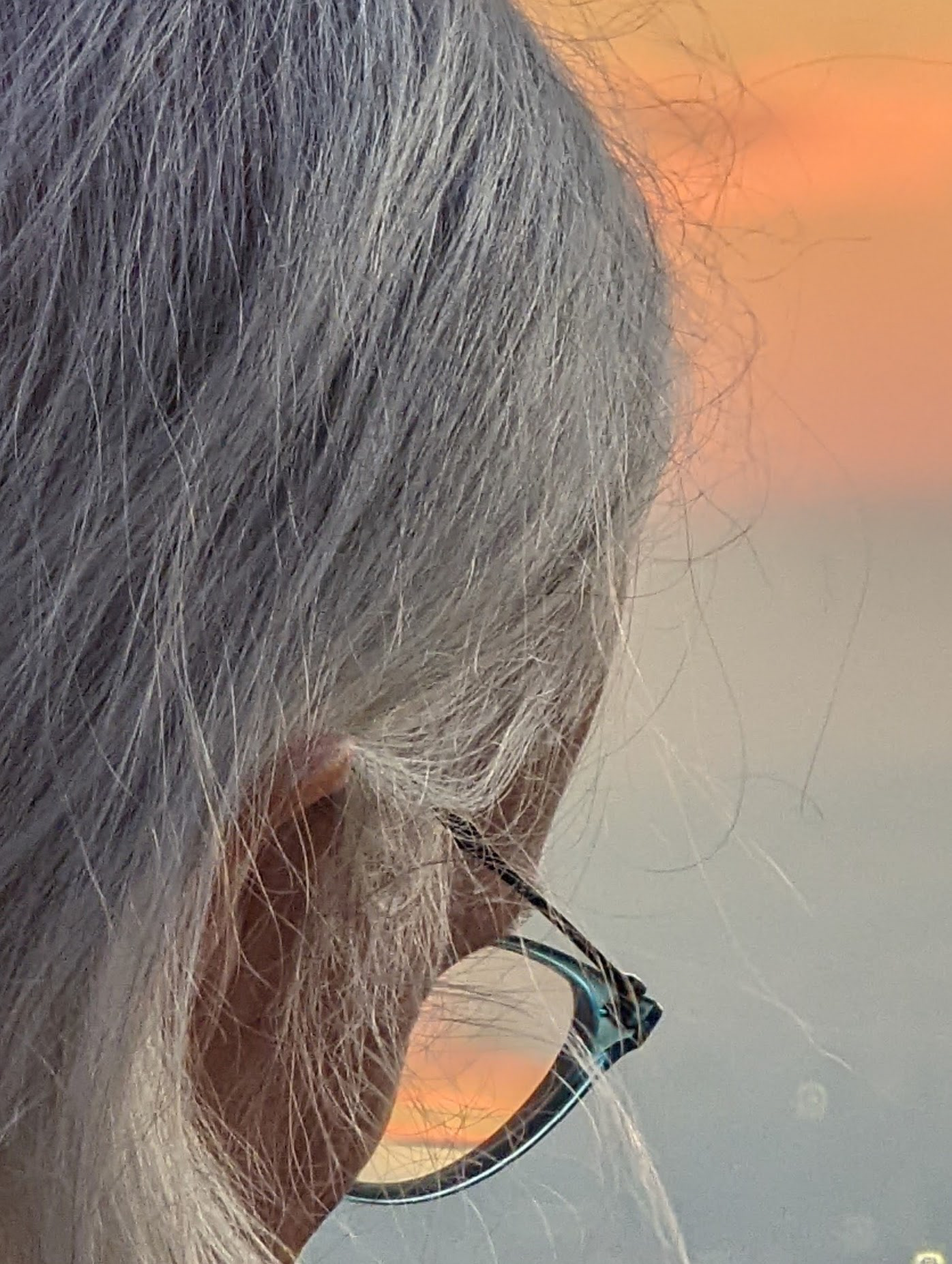Sunset-Colored Glasses
