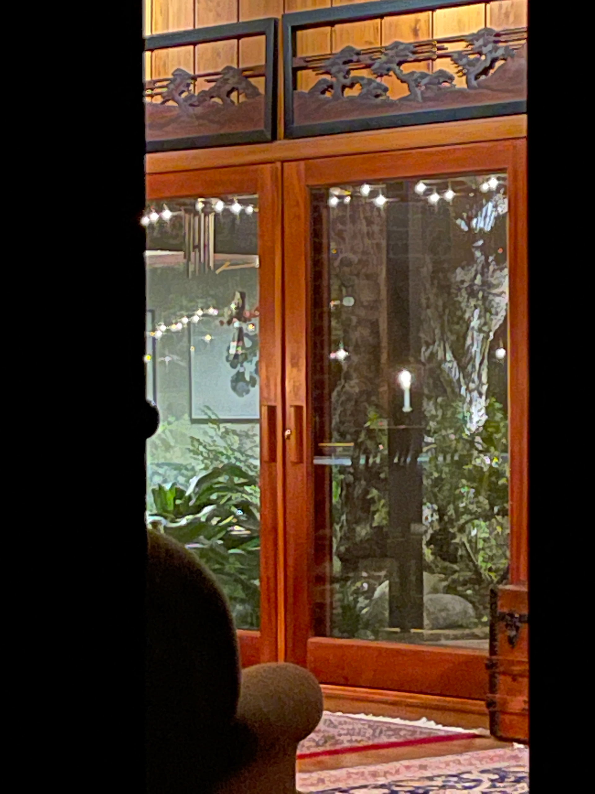 Through The Front Door - At Night