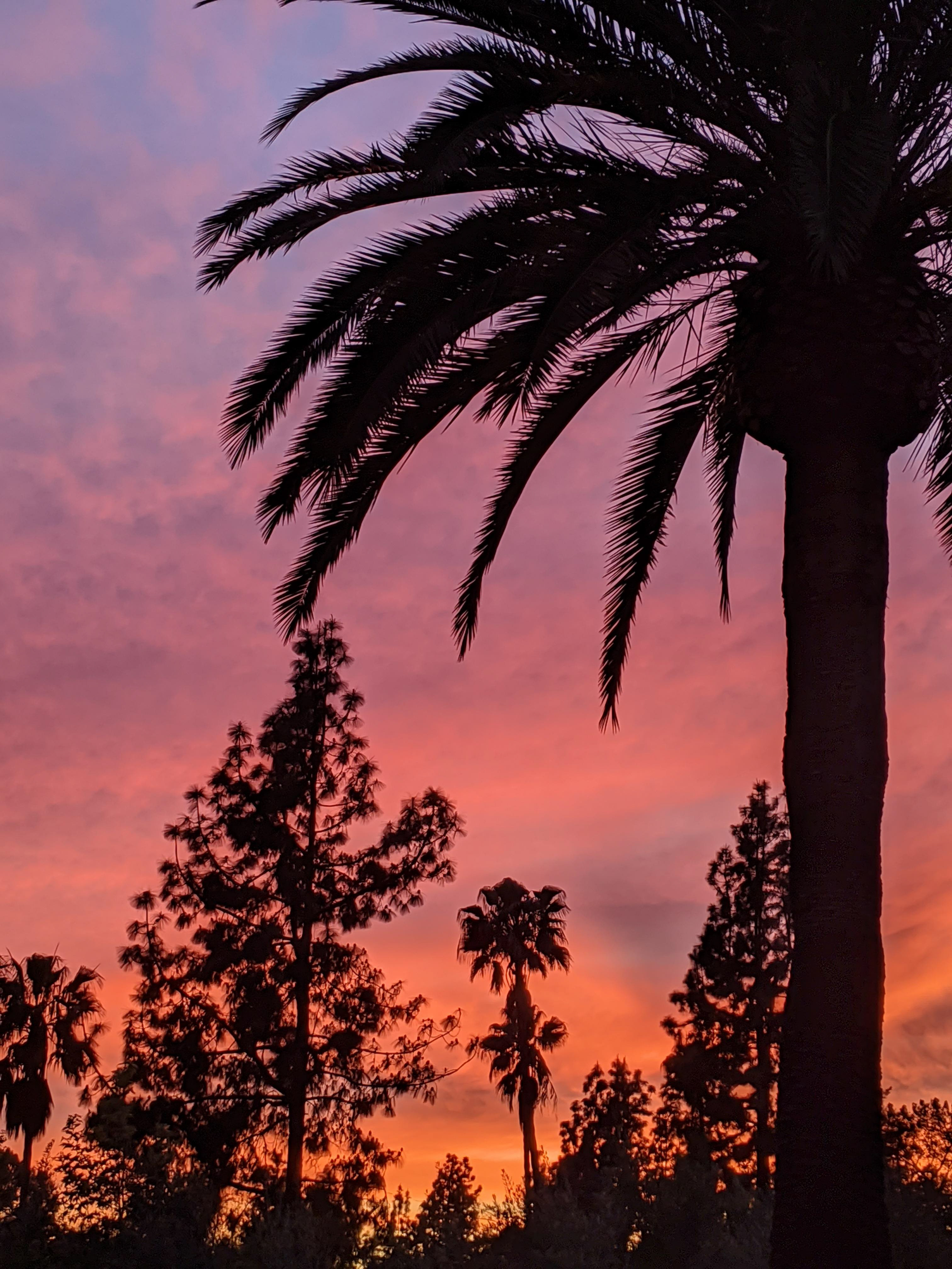 Cul-de-Sac Sunset I