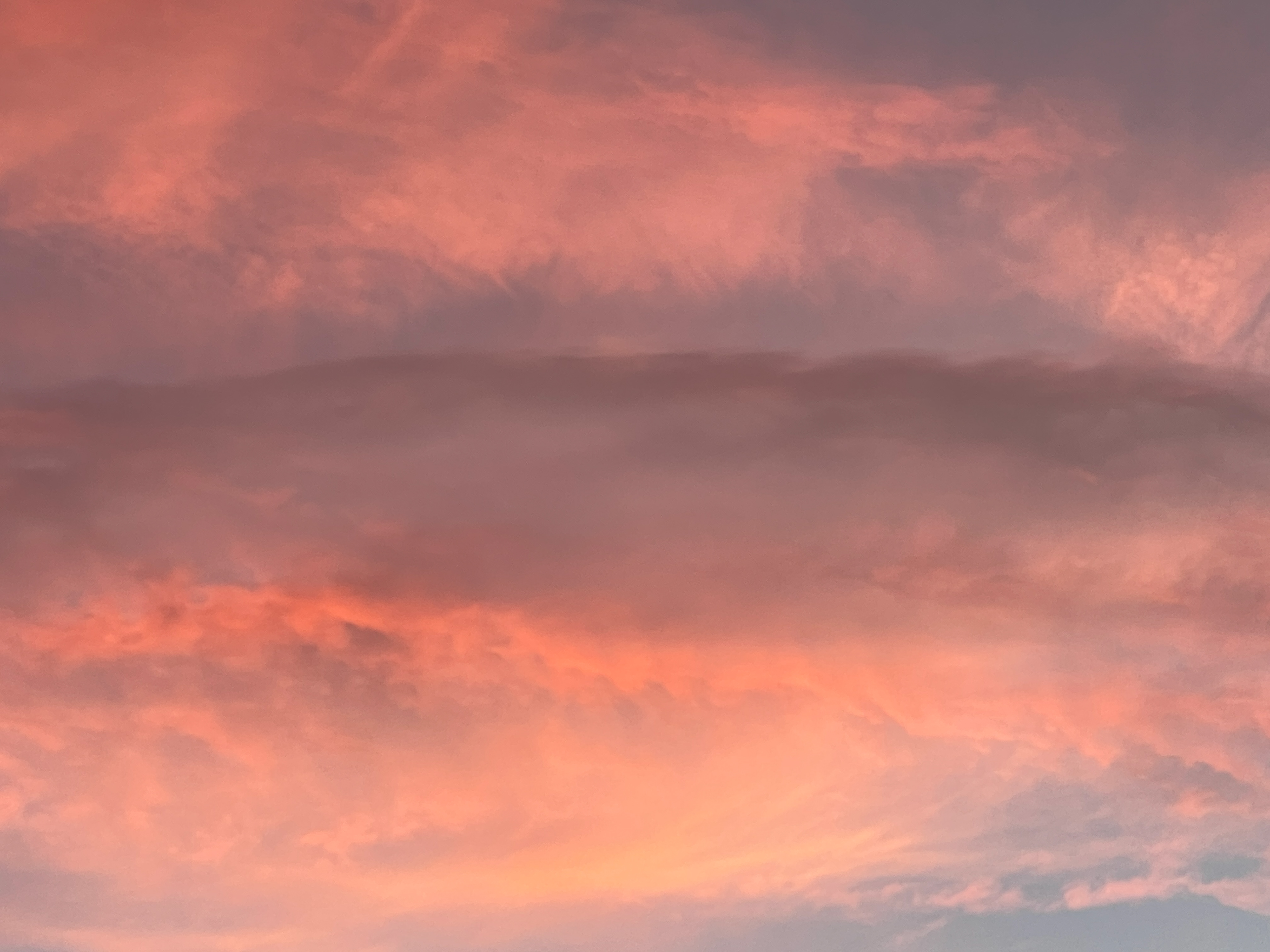 Cotton Candy