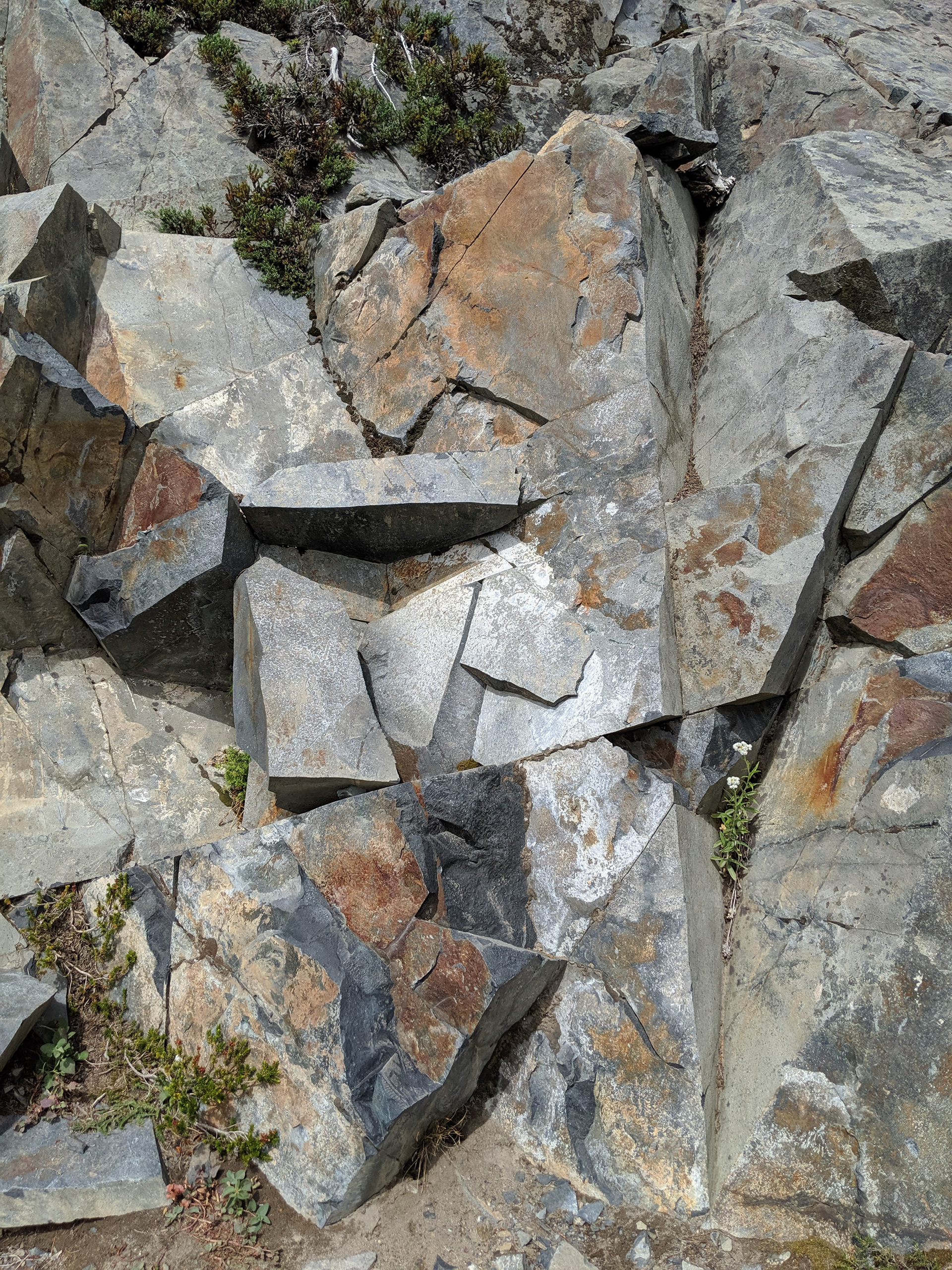 Cubism