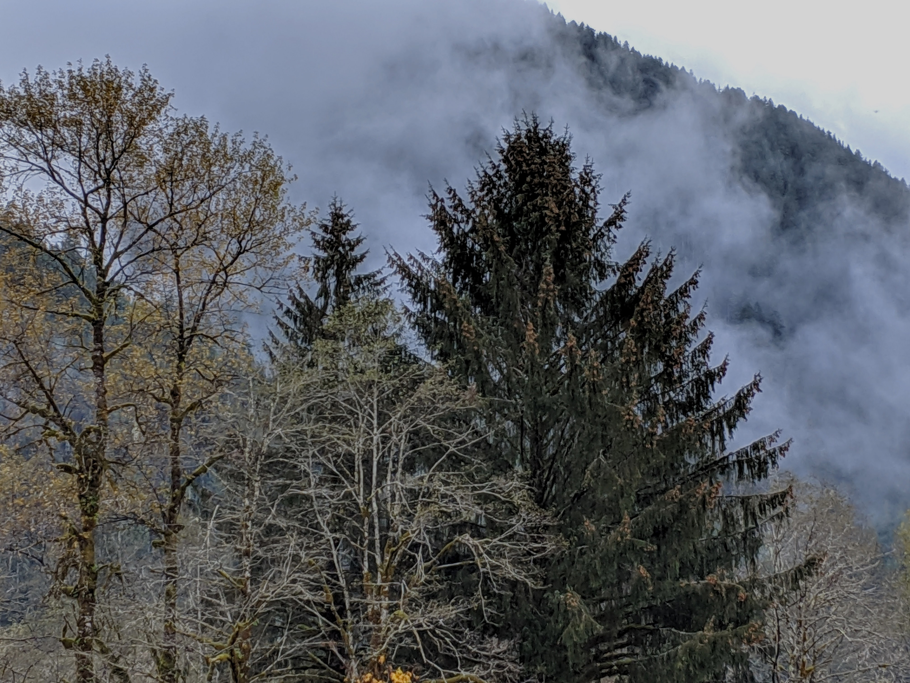 October Mist II