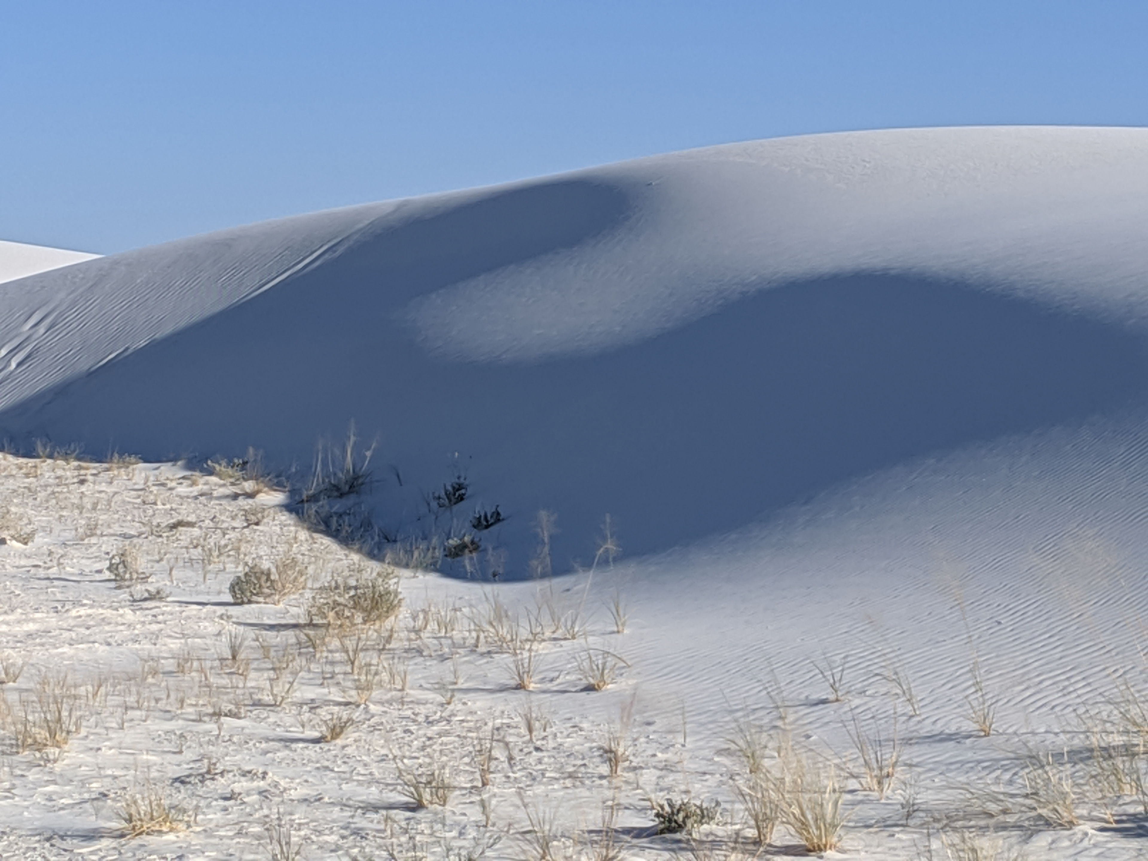 Rabbit of the Waning Light