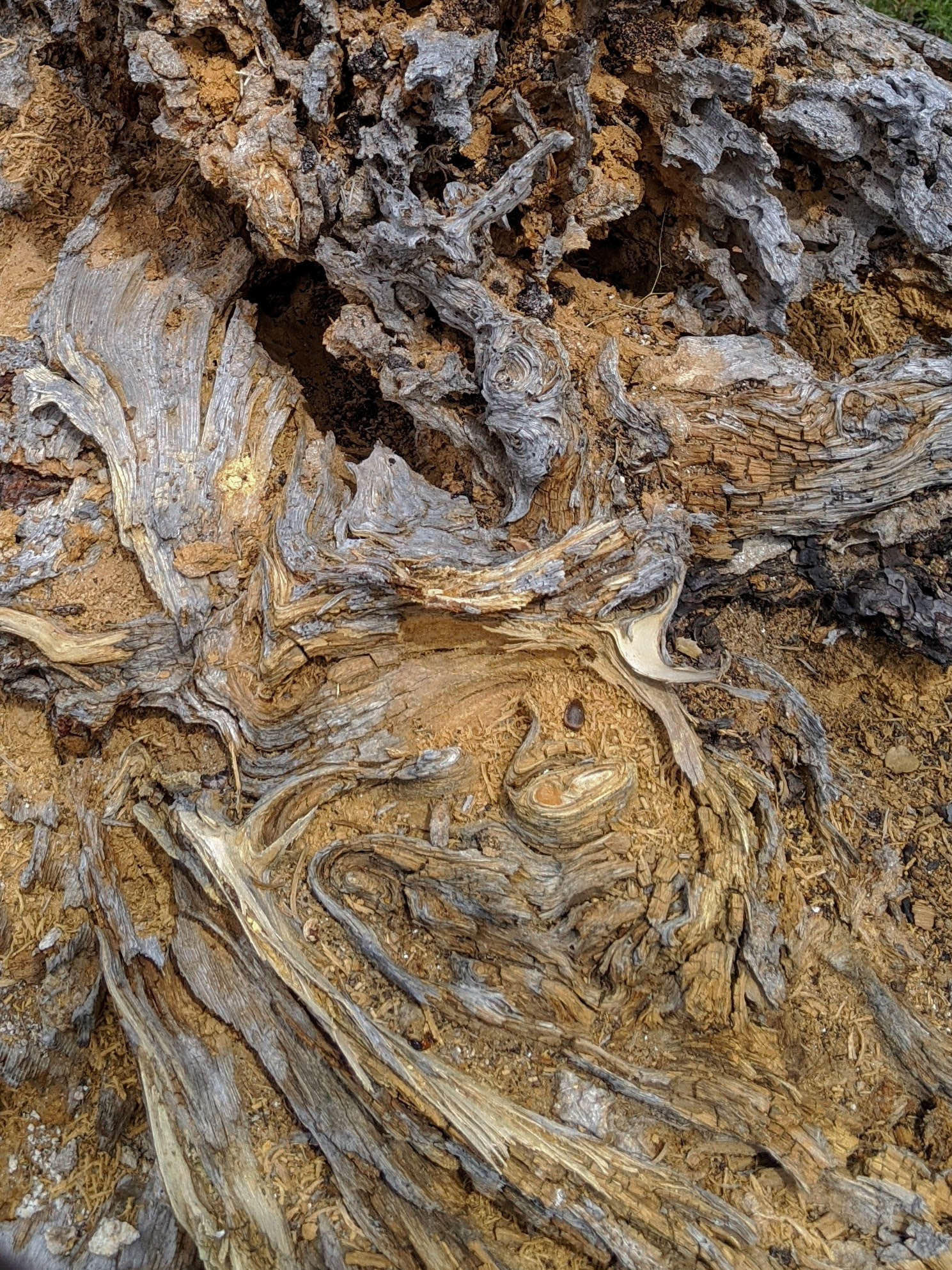 Shelter from the Storm