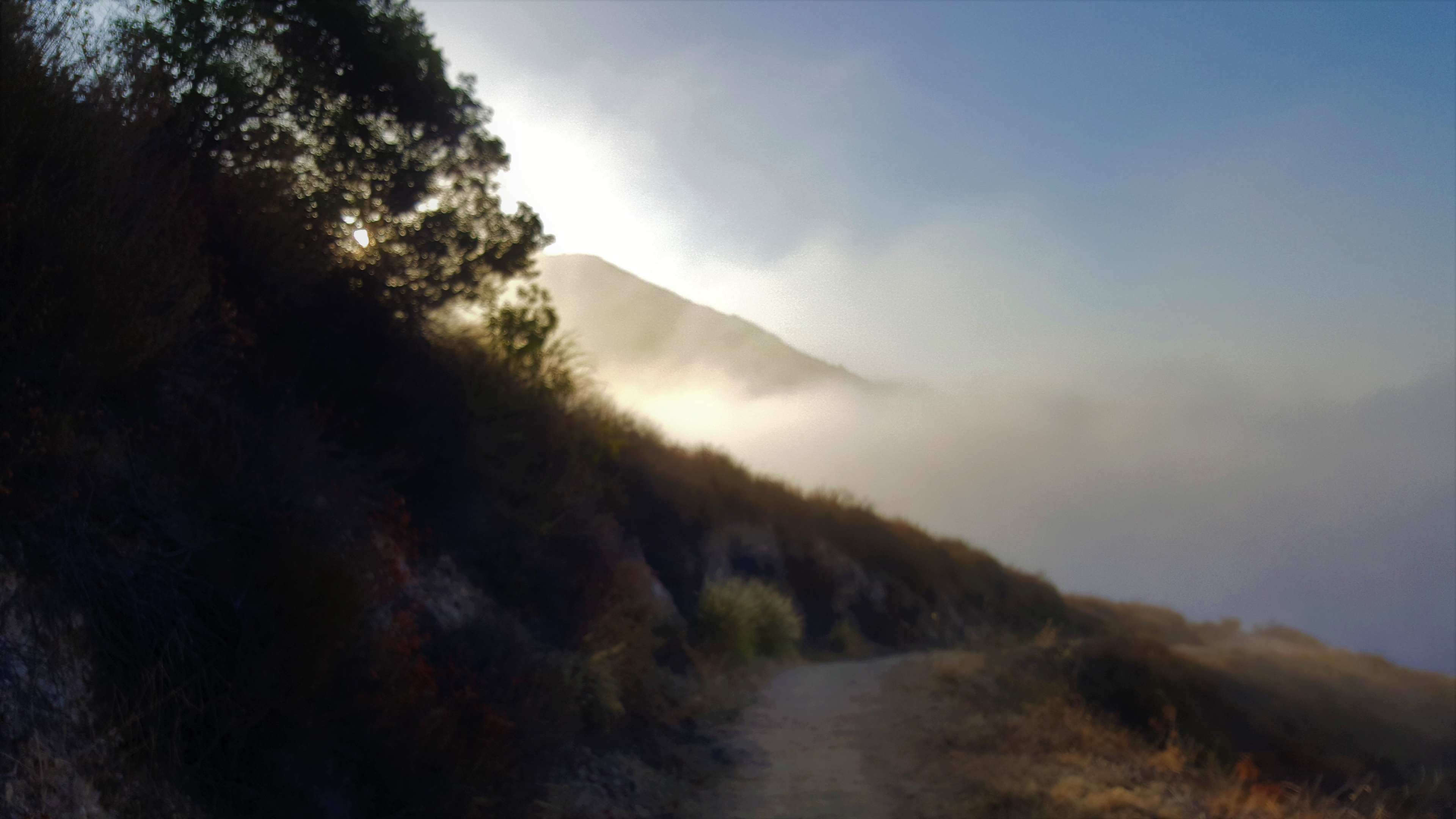 Morning Mist