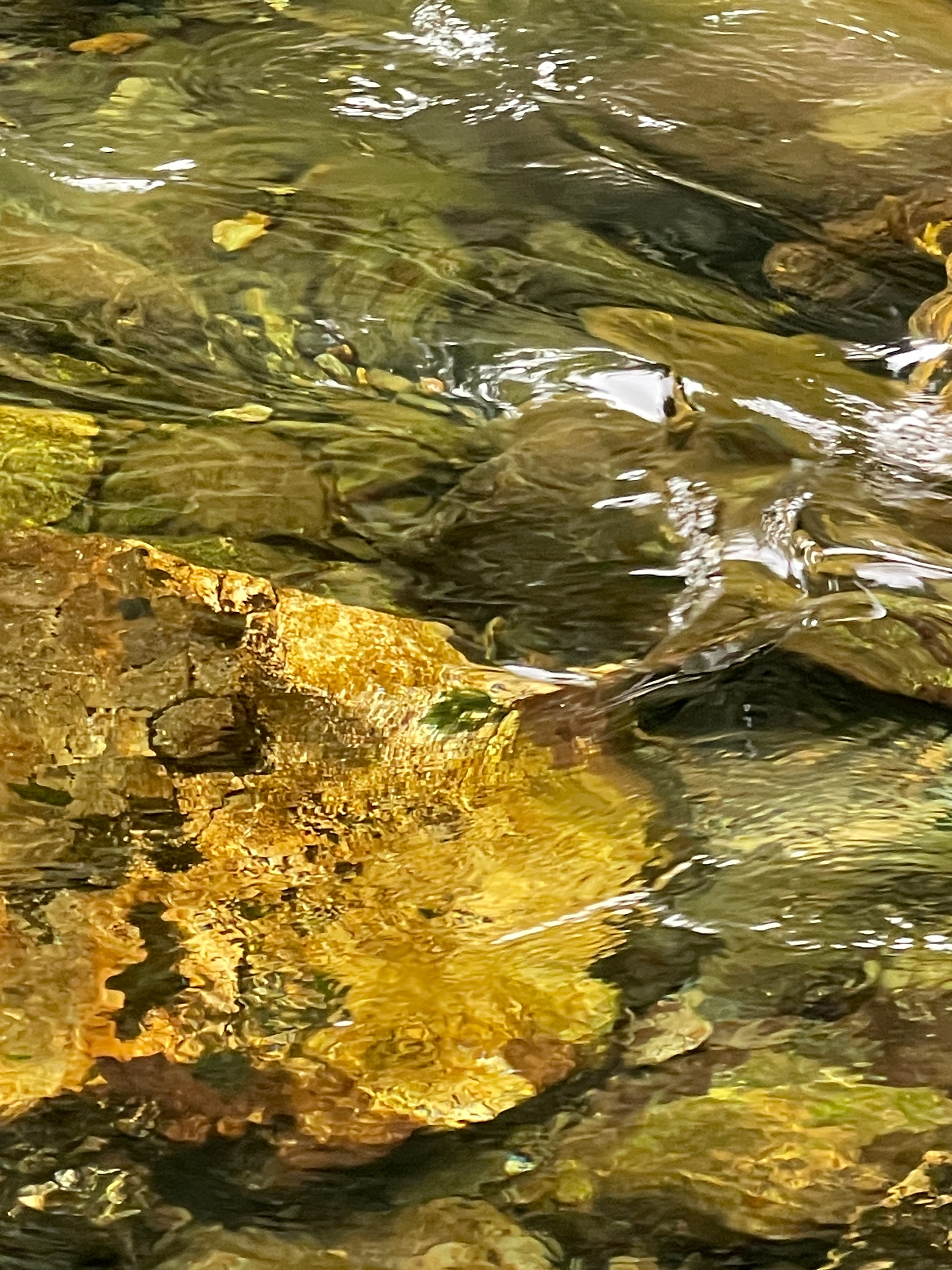 Below The Flow