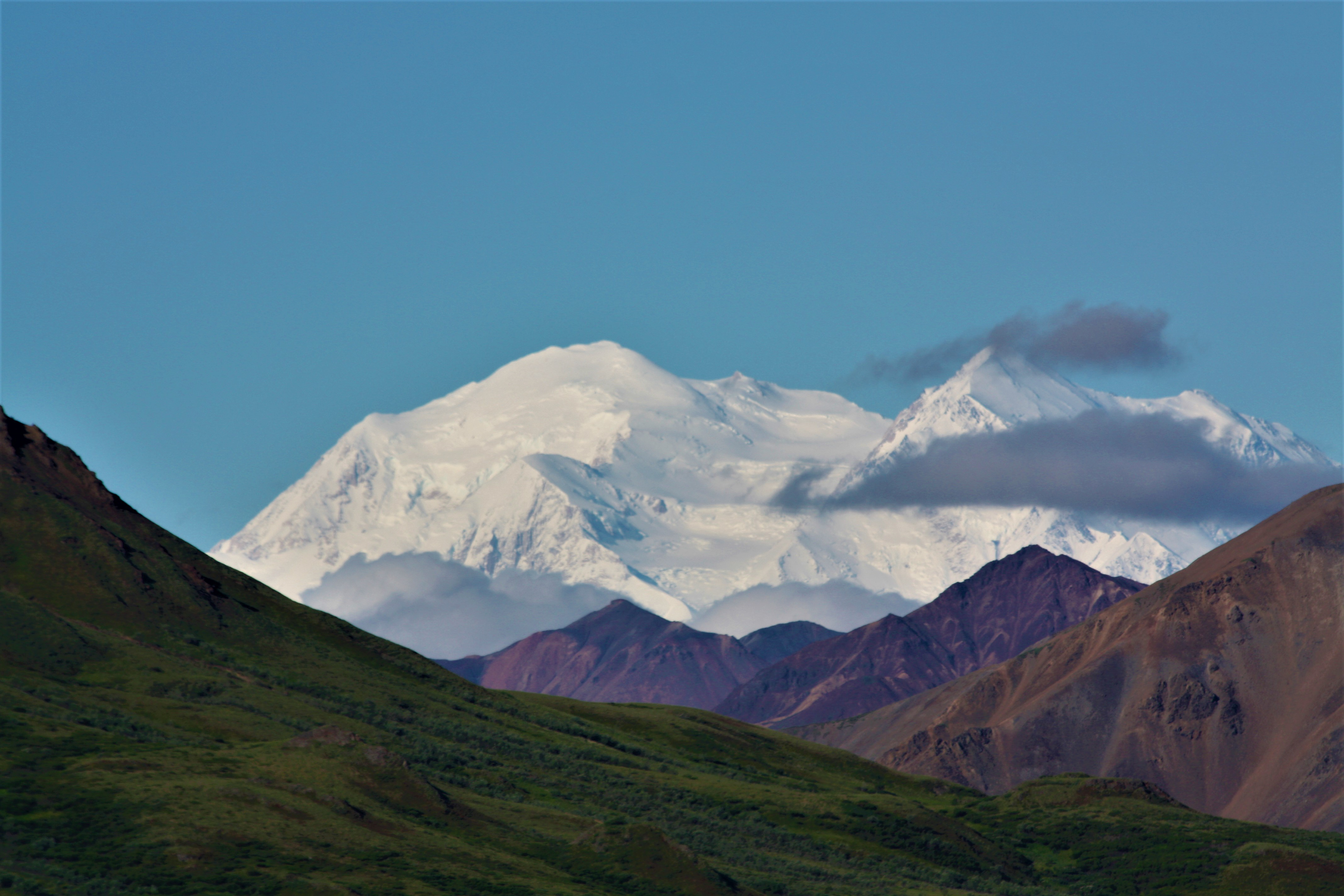 Mt. Denali