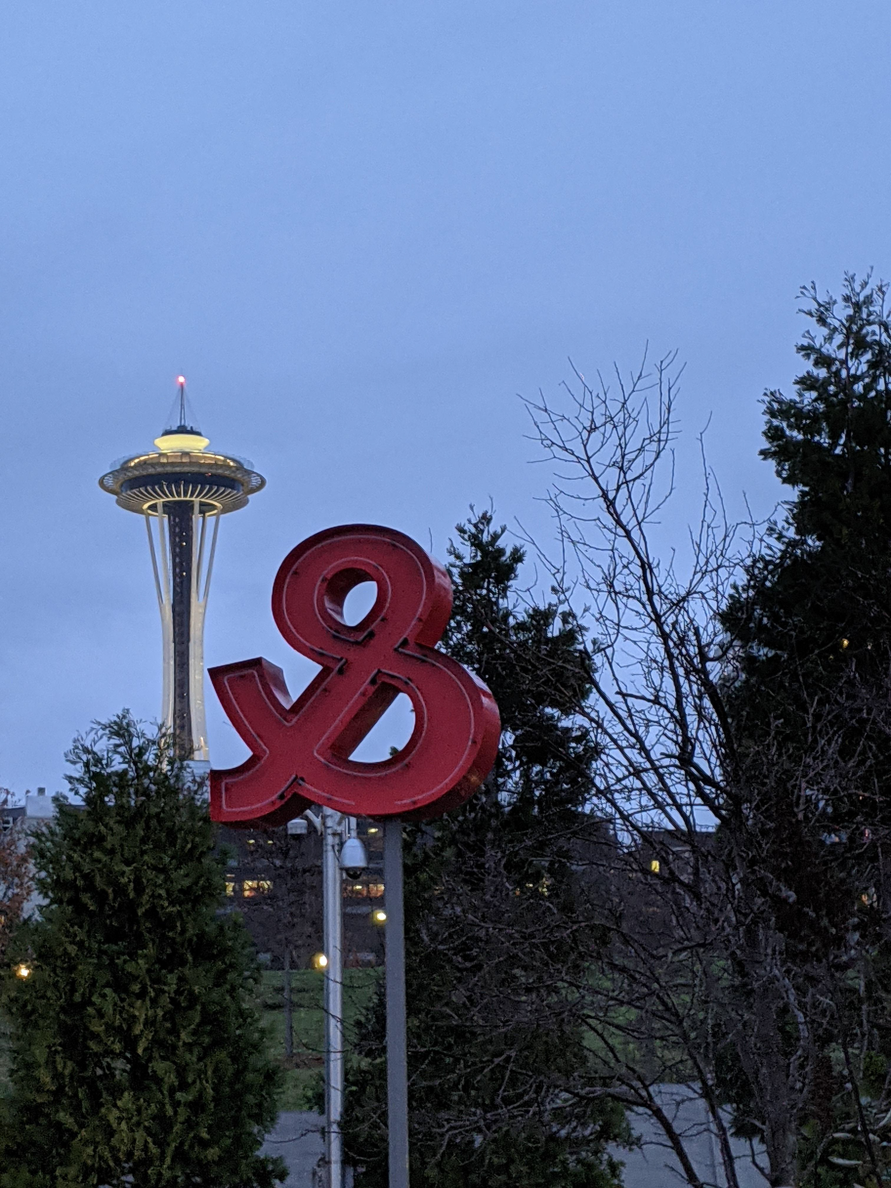 Needle &
