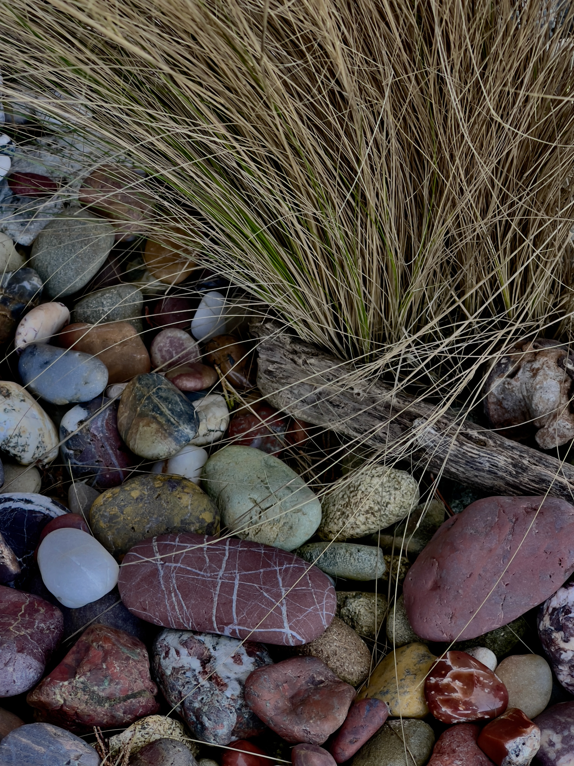 Sandi's Entry Garden