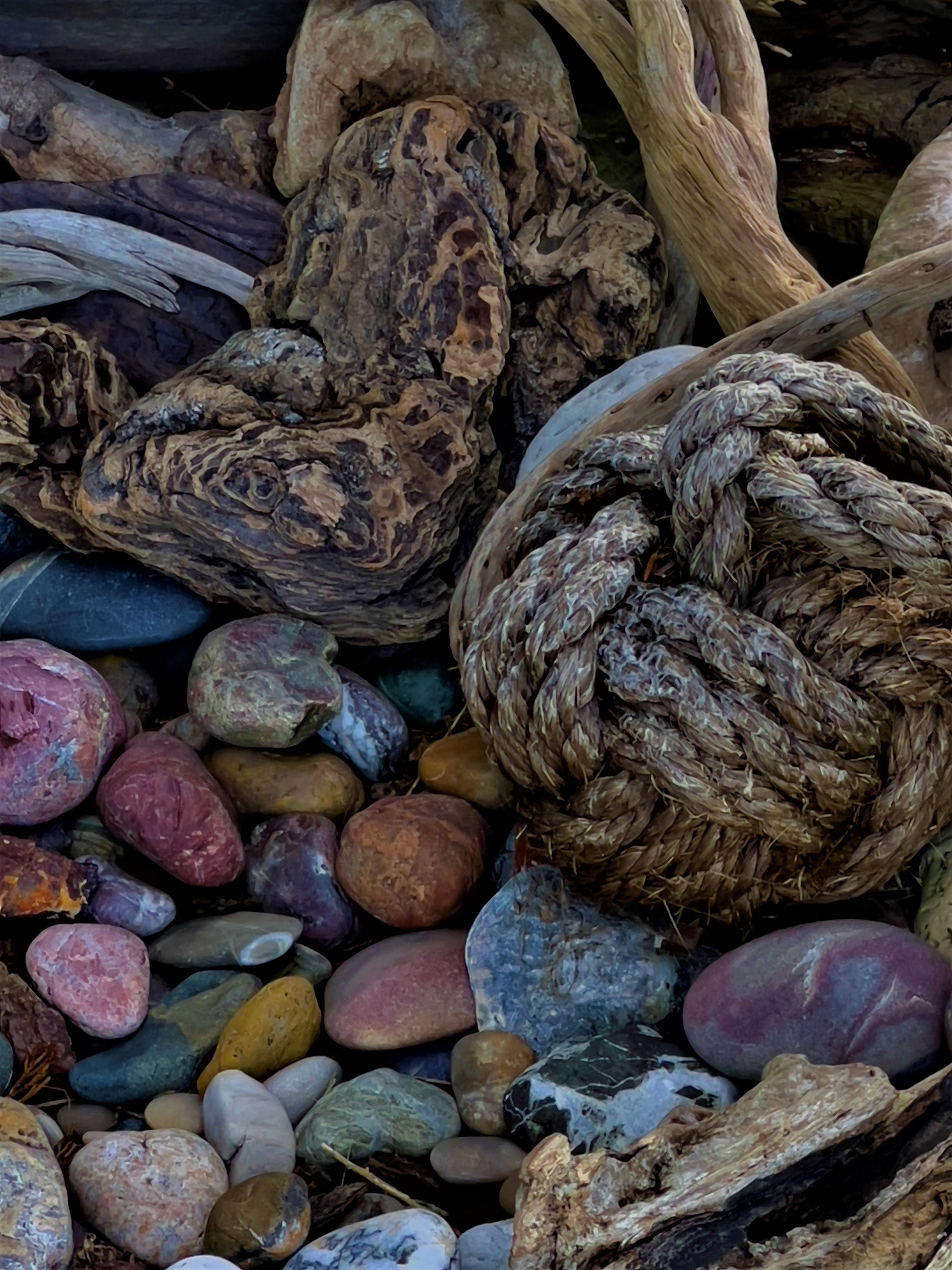 Beachcomber's Garden