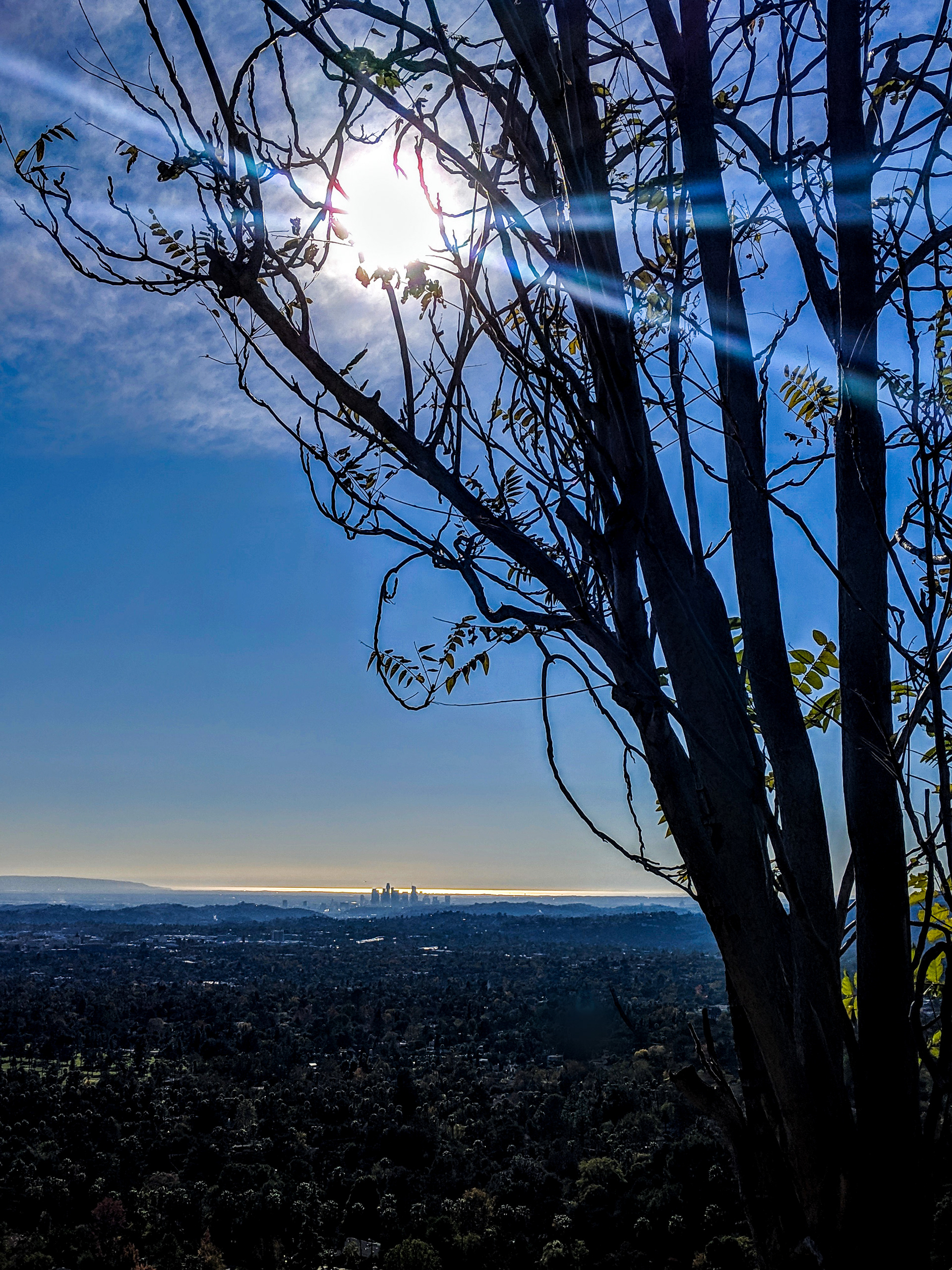 Pacific View