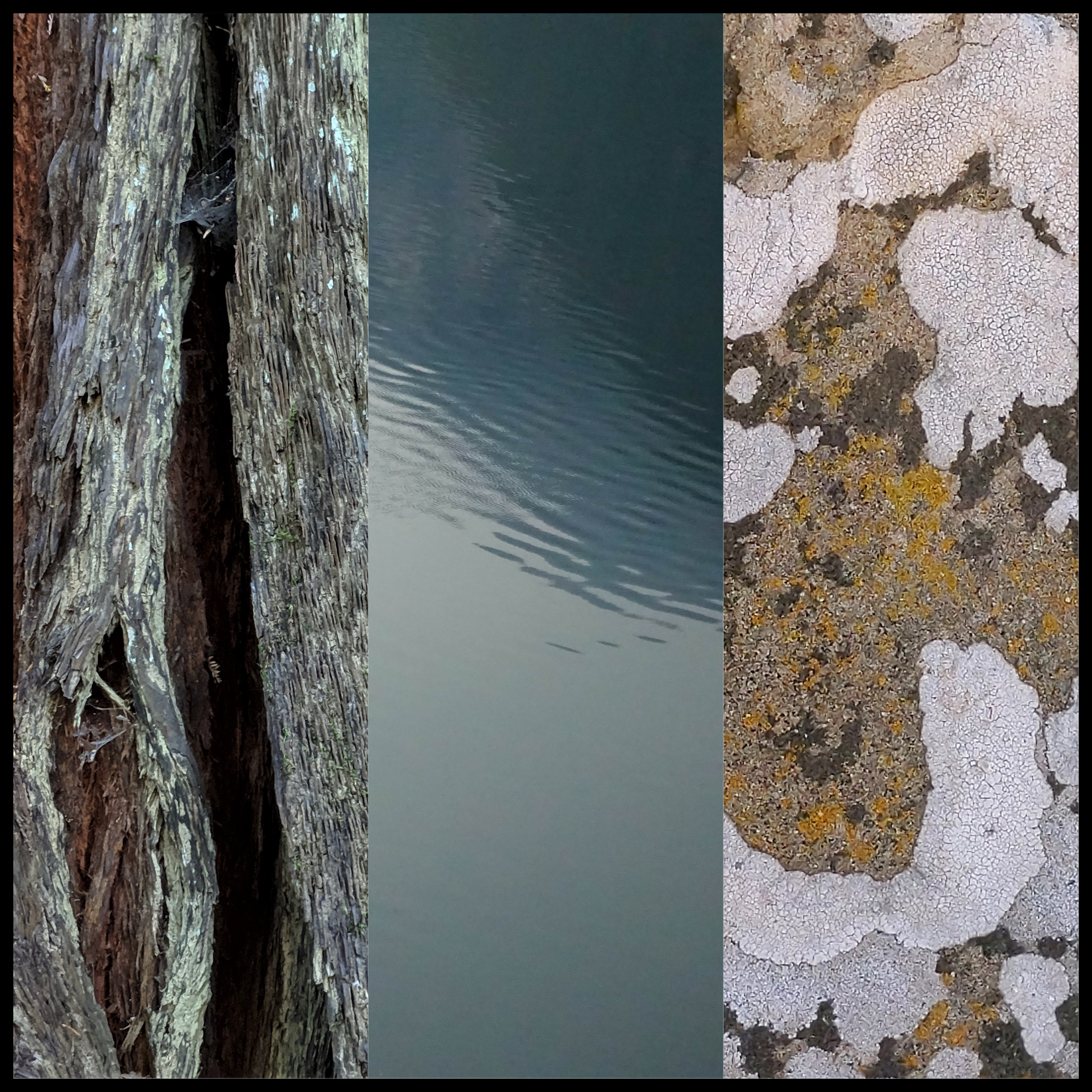 Between A Rock and a Soft Place