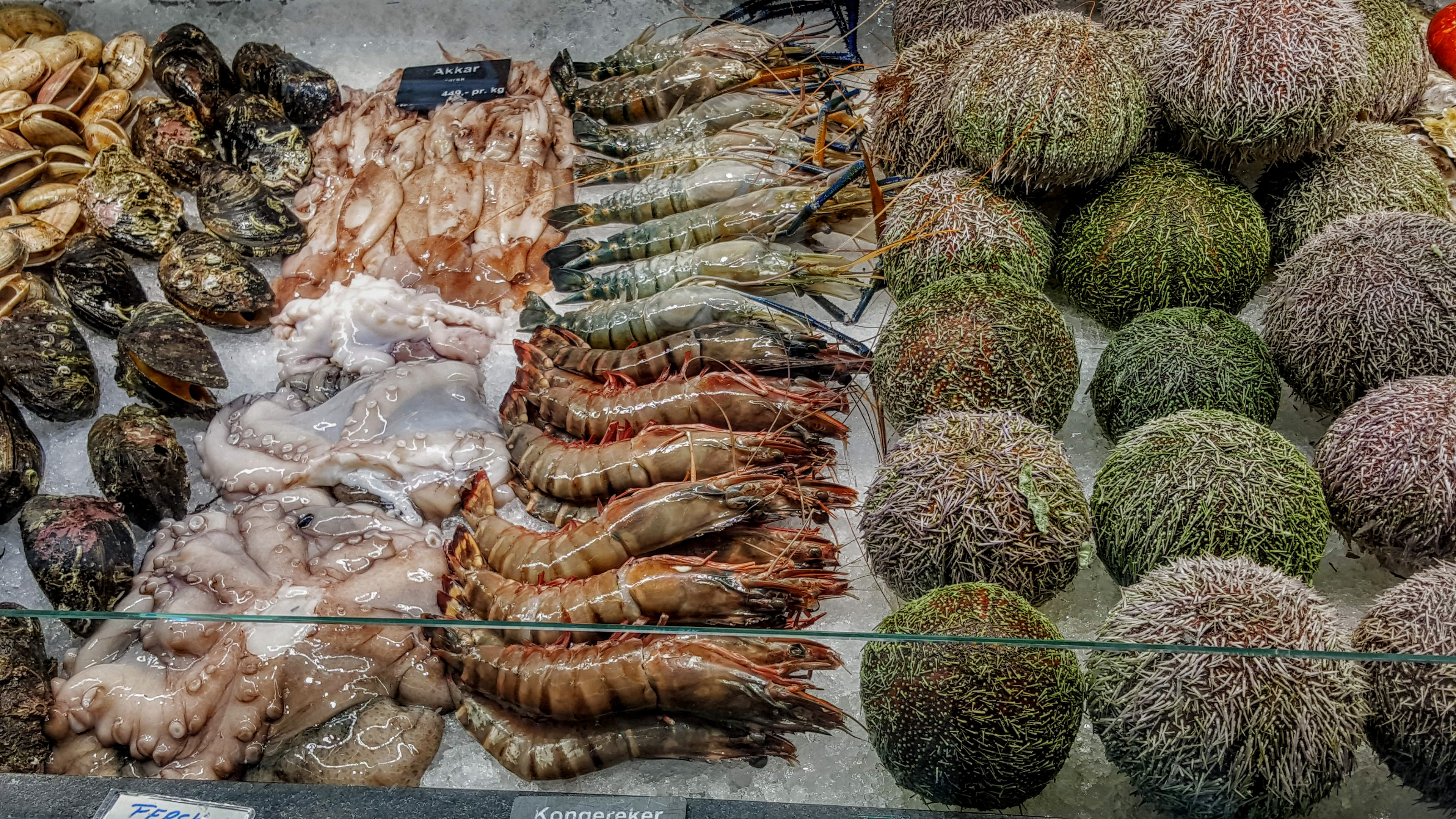 From The North Sea