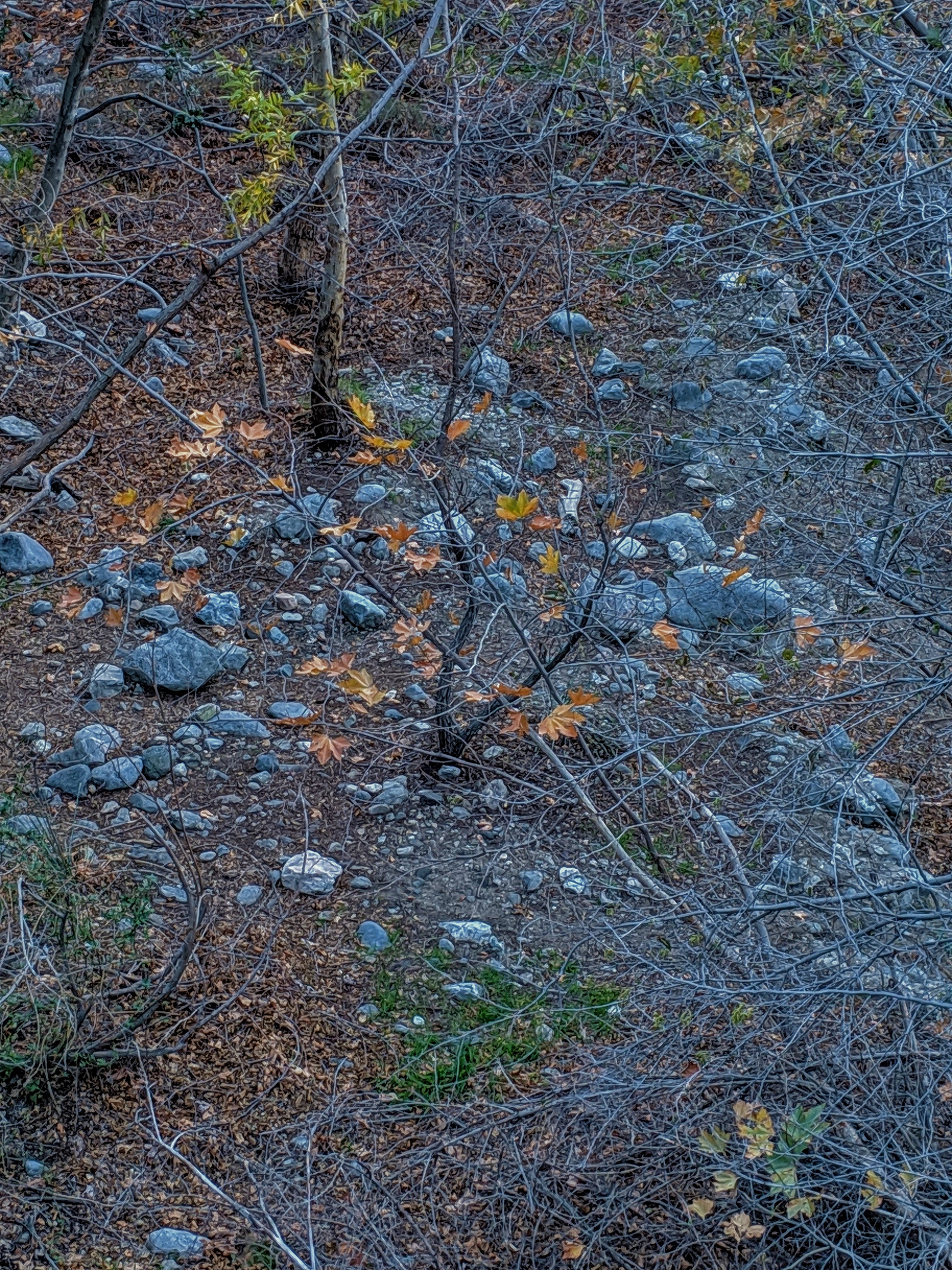 Fall Below