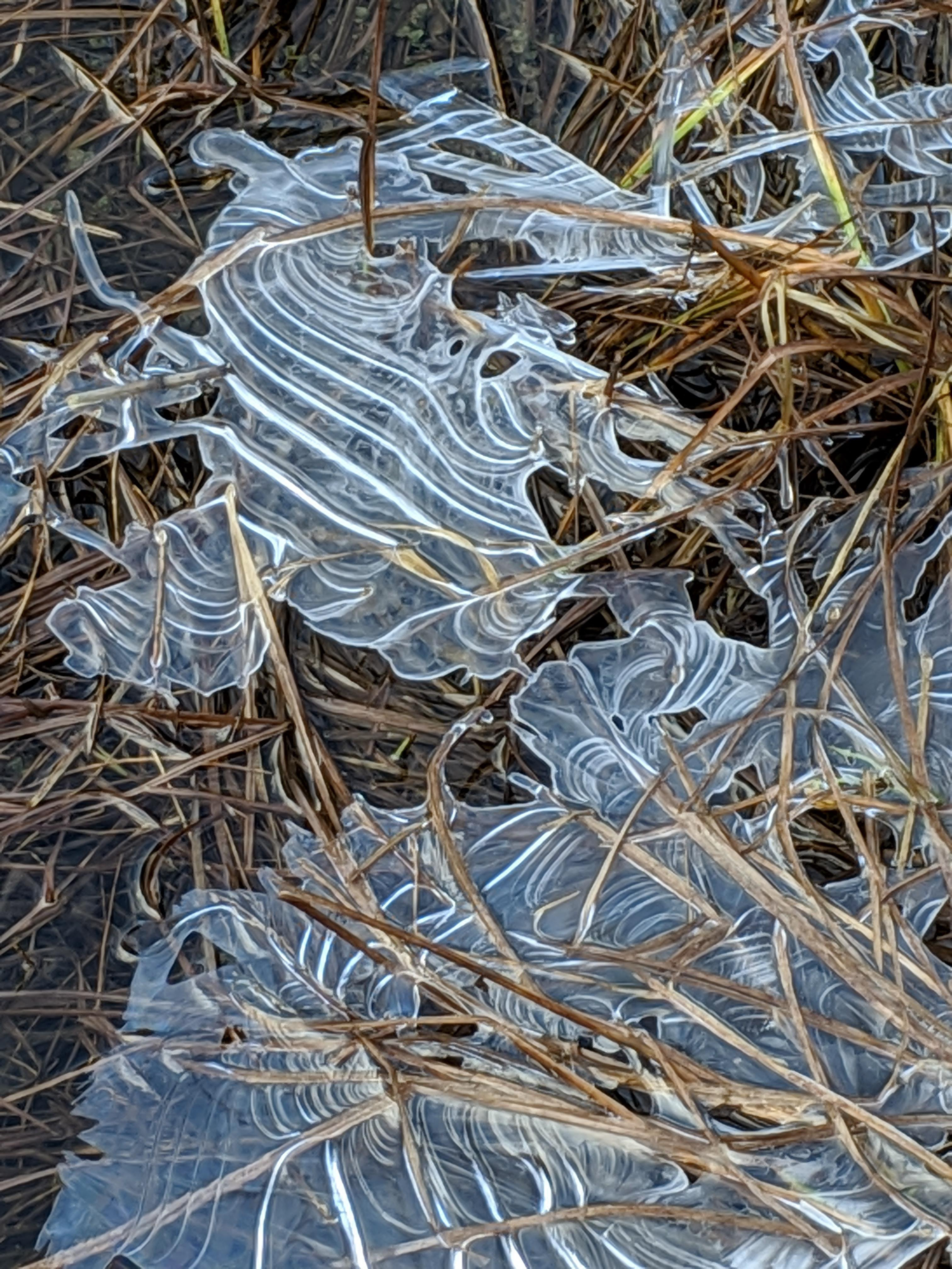 On Thin Ice