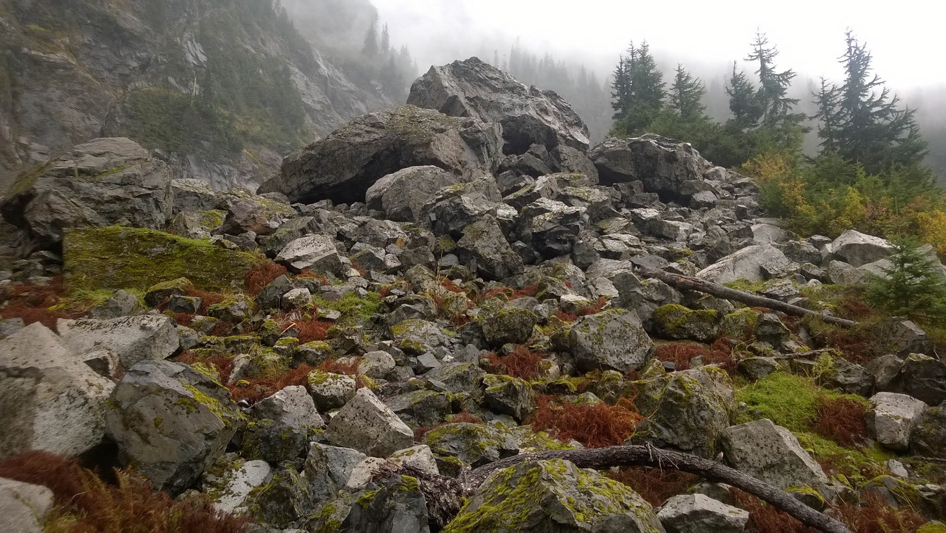 Autumn Scree