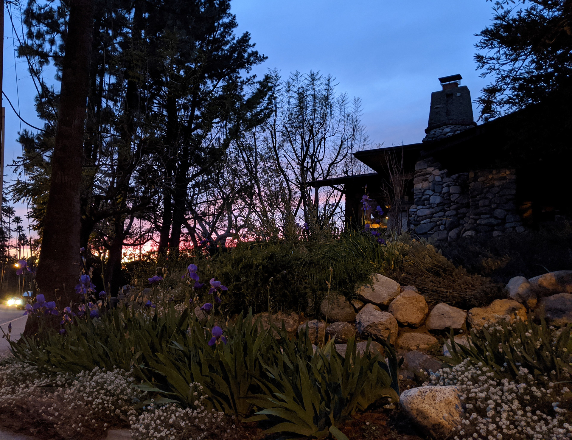 Dylan's House