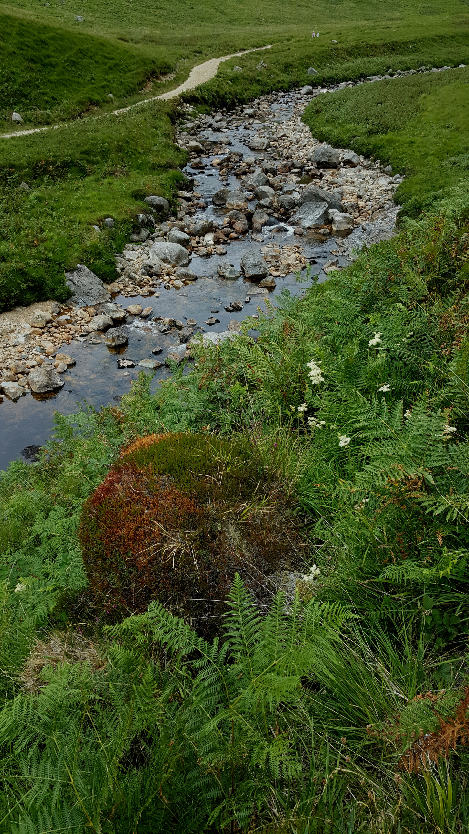 Wandering The Vale