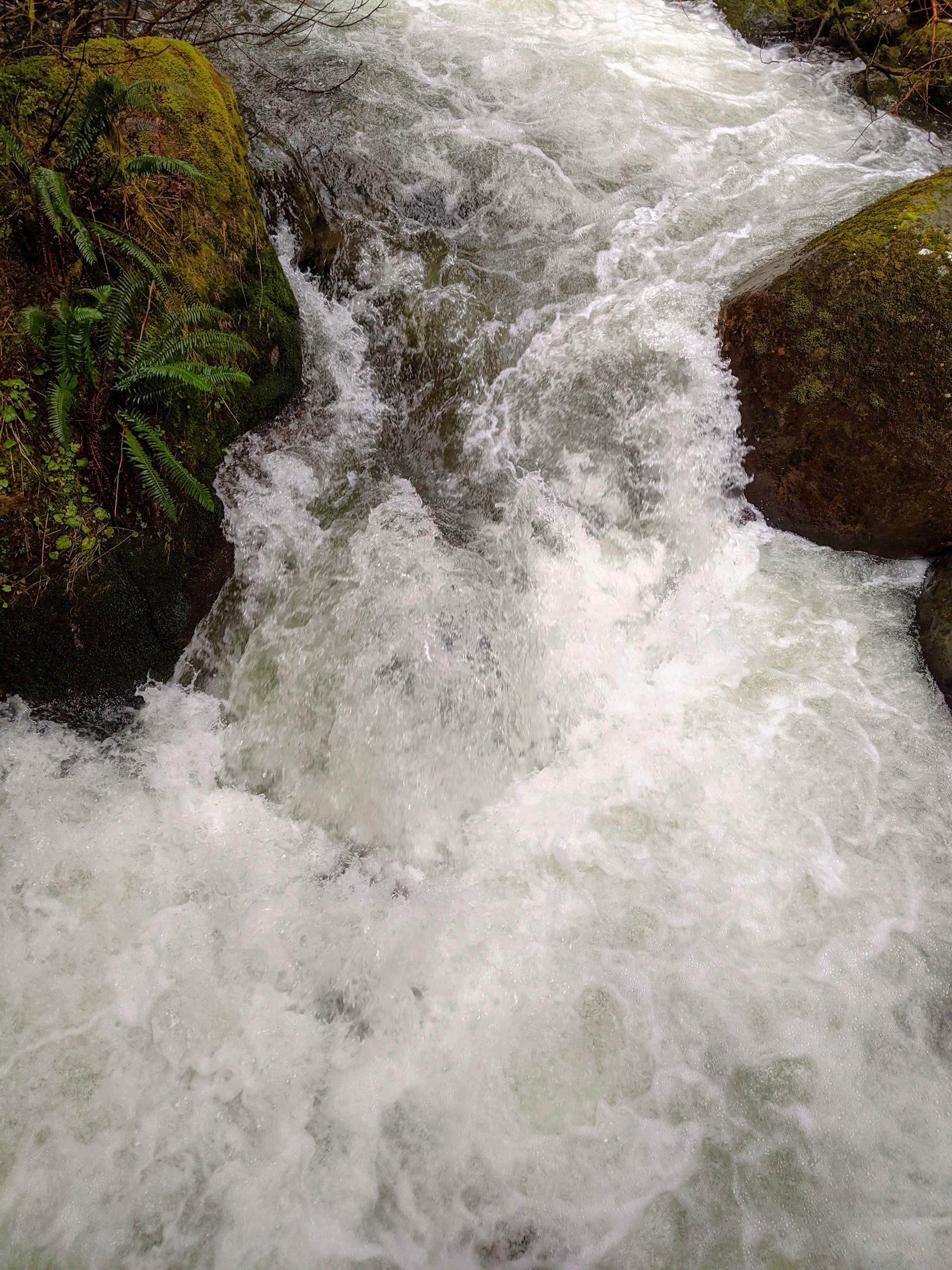 Spirited Water