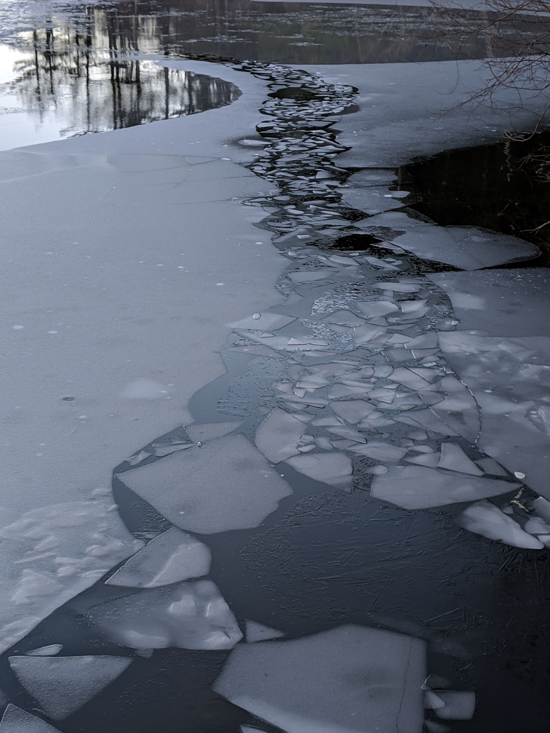 The Path